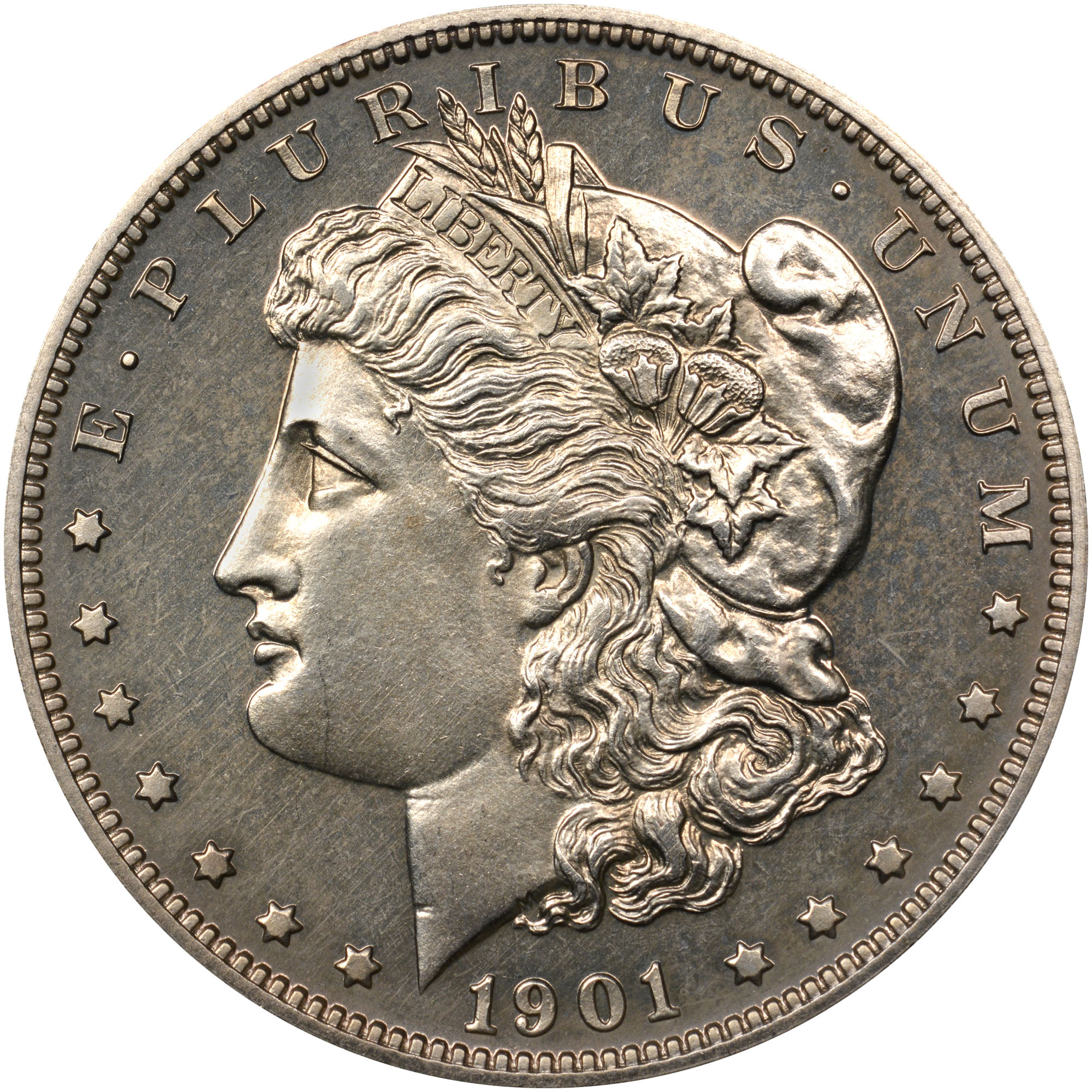 1901 $1 PF | Coin Explorer | NGC