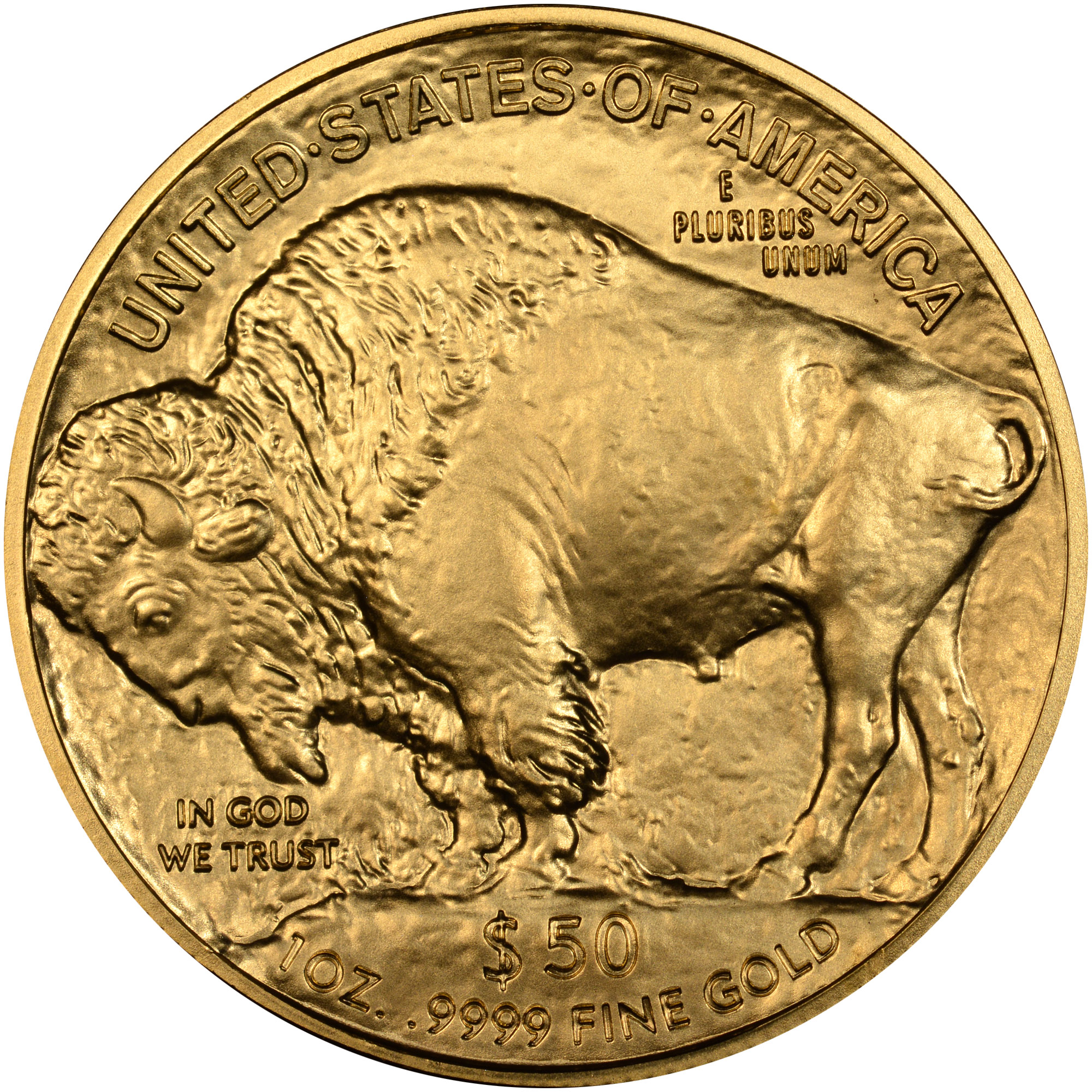2013 BUFFALO .9999 FINE G$50 MS | Coin Explorer | NGC