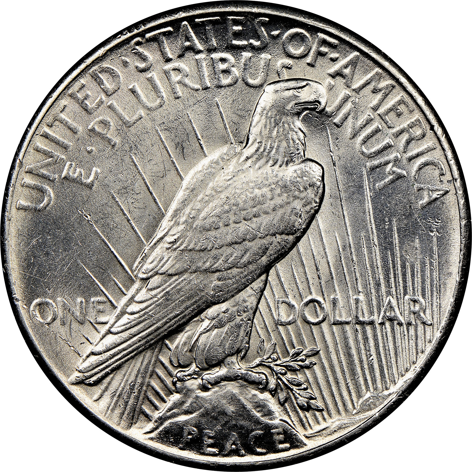 1928 $1 MS | Coin Explorer | NGC