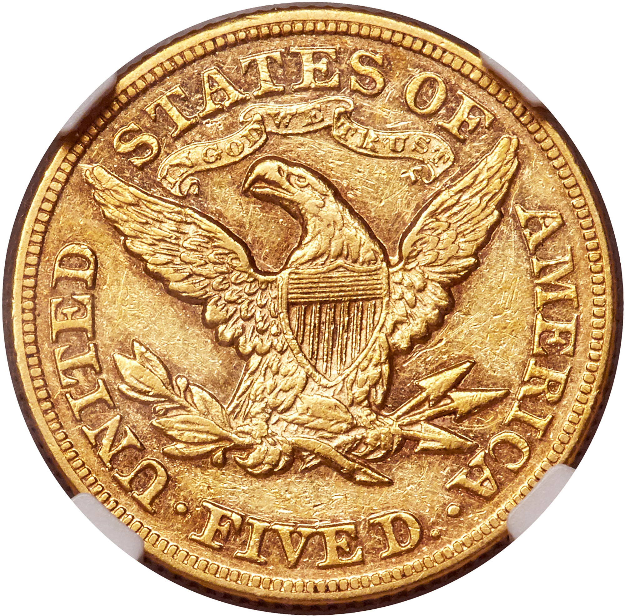 1877 $5 MS | Coin Explorer | NGC
