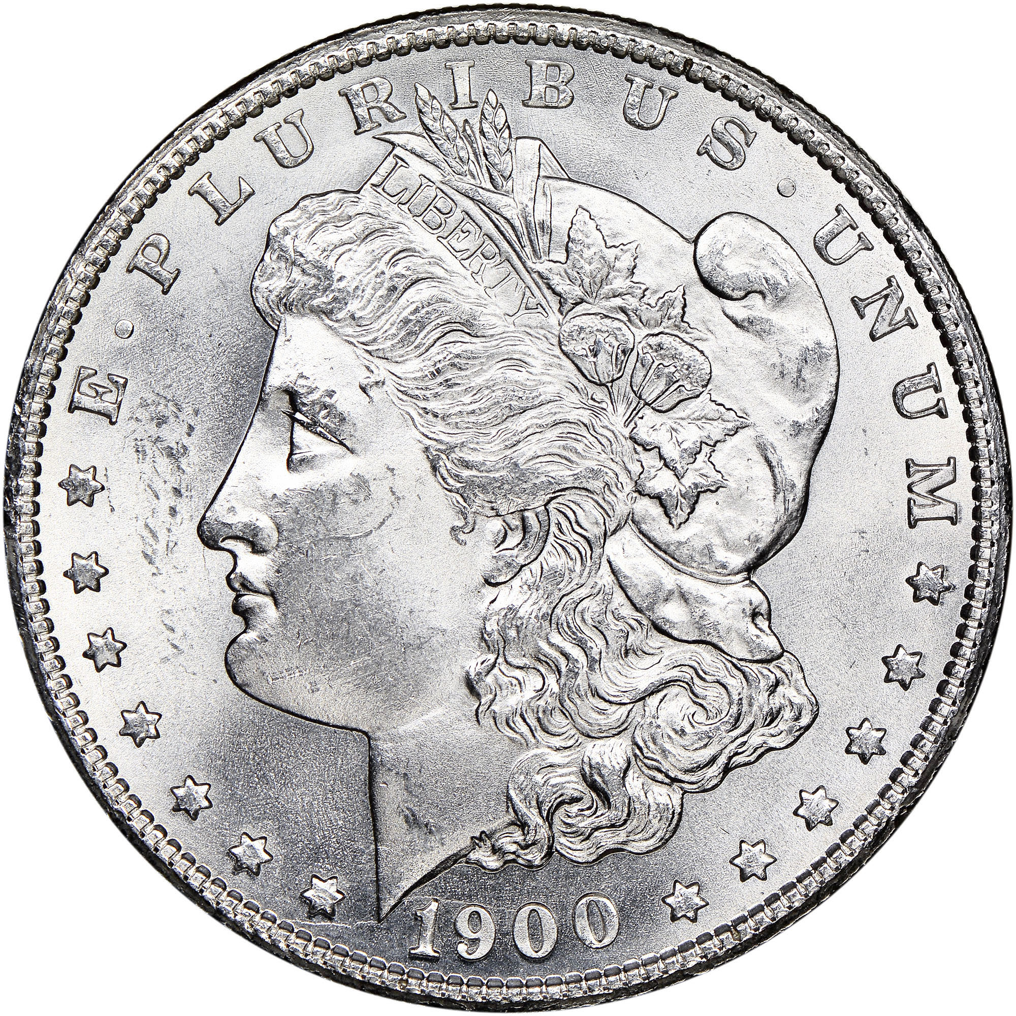 1900 S $1 MS | Coin Explorer | NGC