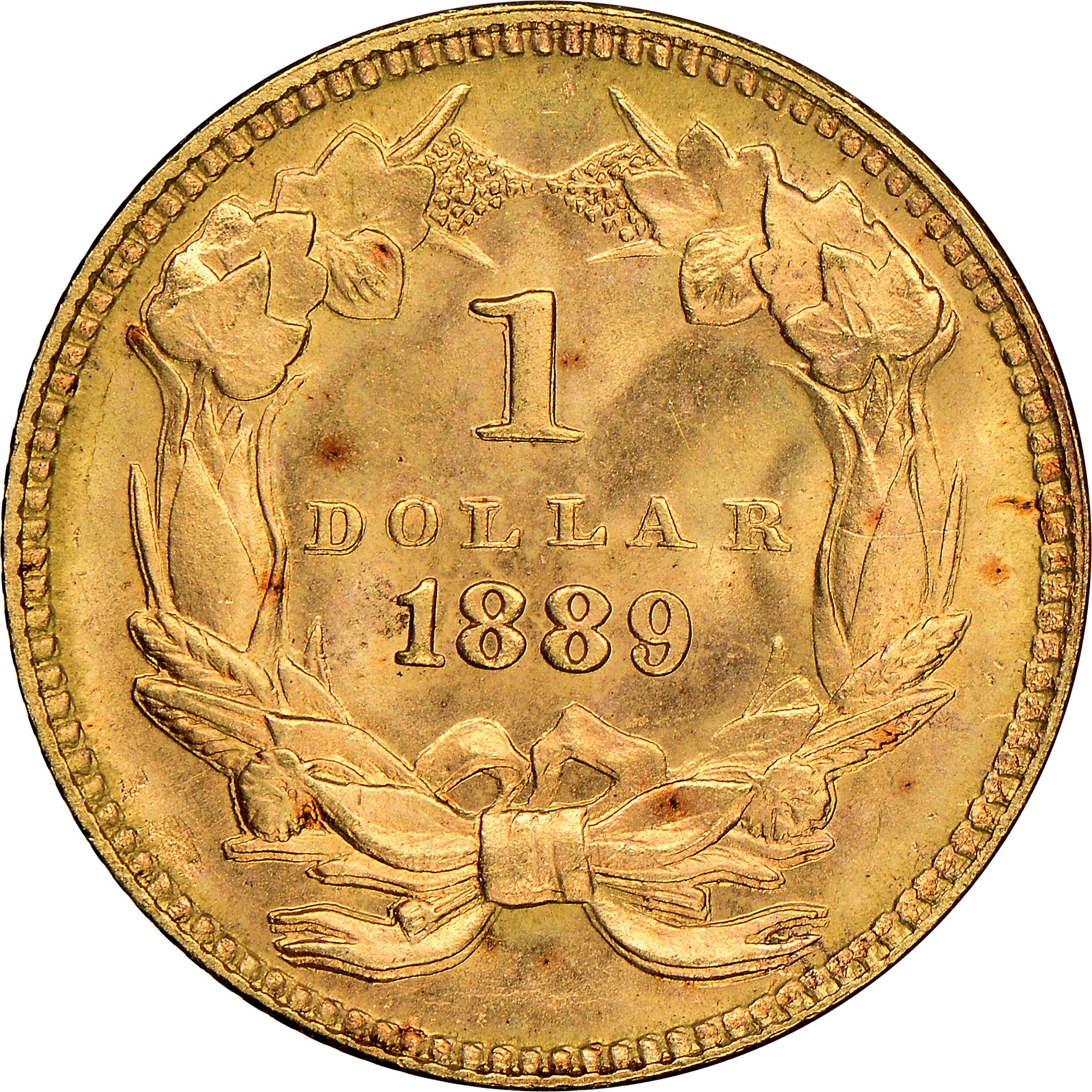 1889 G$1 MS | Coin Explorer | NGC