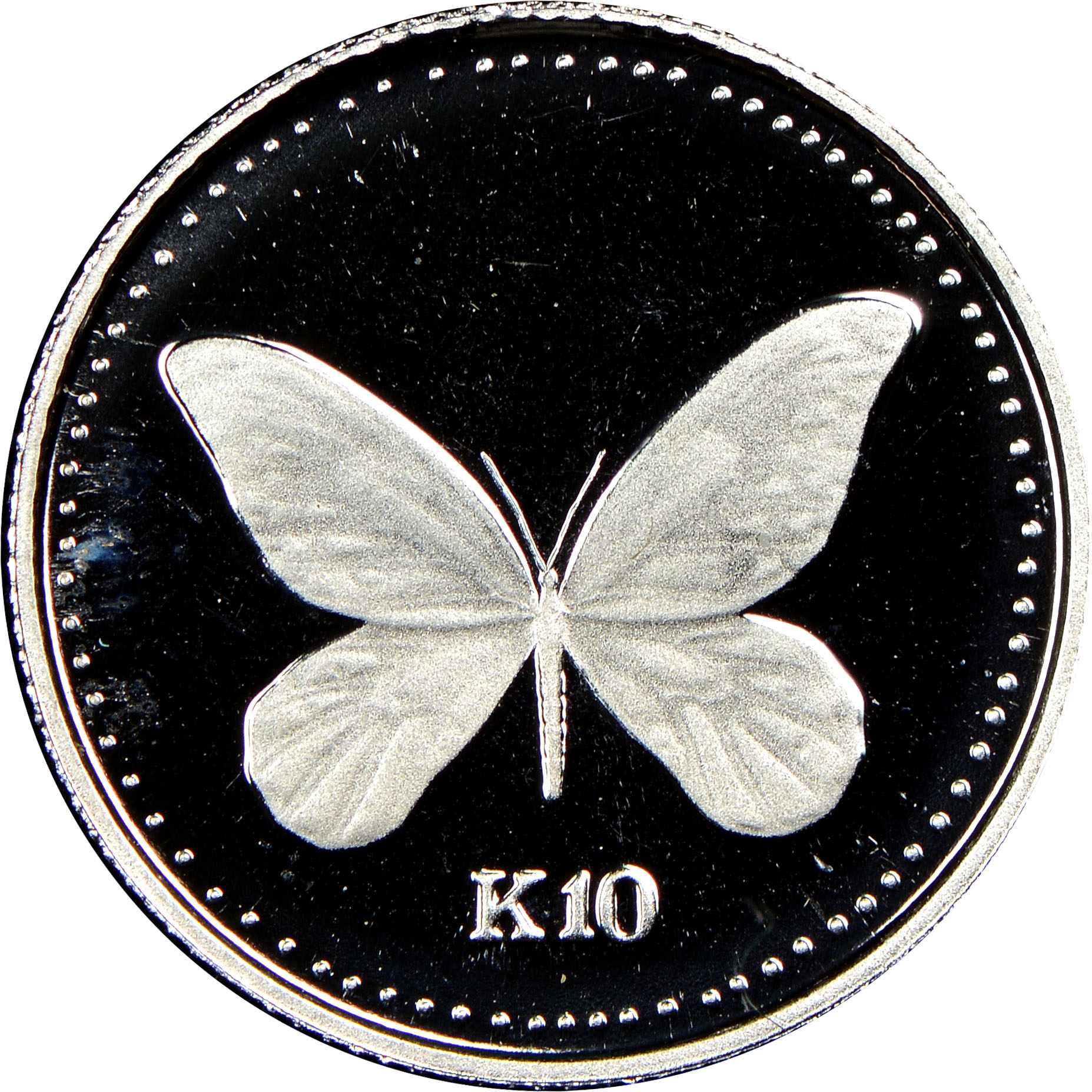 ビカクシダ キナ#10 Kina #10 ビカクシダ キナ#10 Kina #10