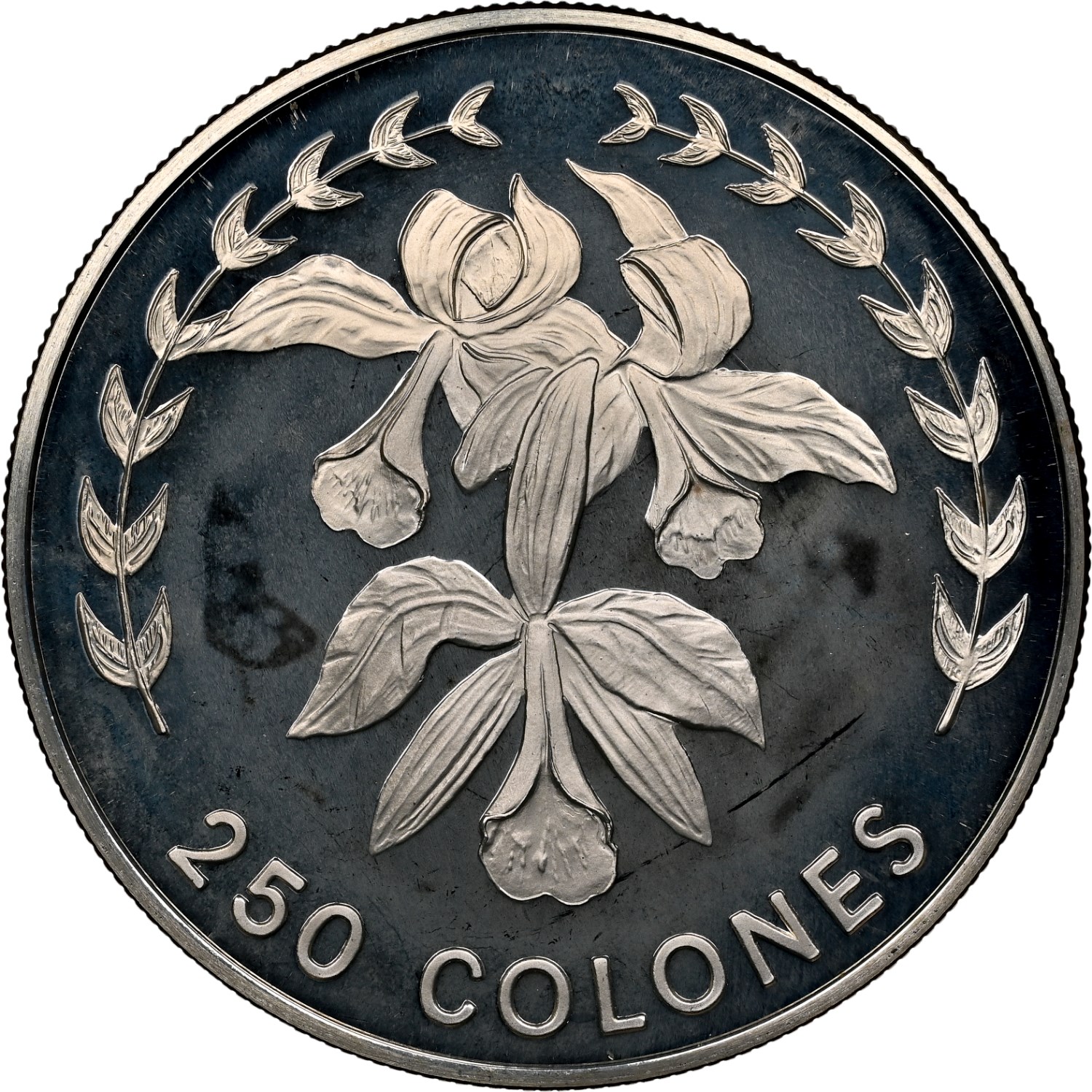 Costa Rica 250 Colones KM 217 Prices & Values | NGC