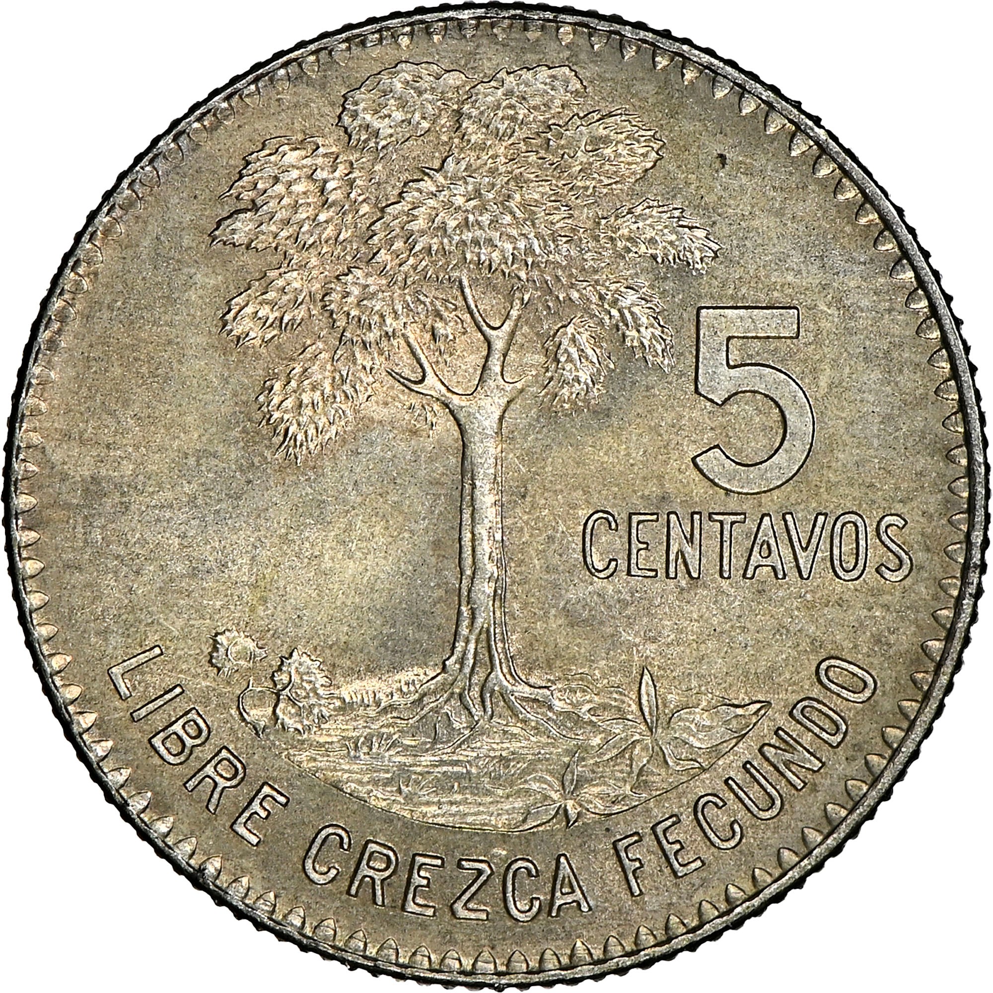 ヴァスコ・ダ・ガマ　２００6　 ホーム 　激レア Guatemala 5 Centavos KM 266.2 Prices & Values | NGC