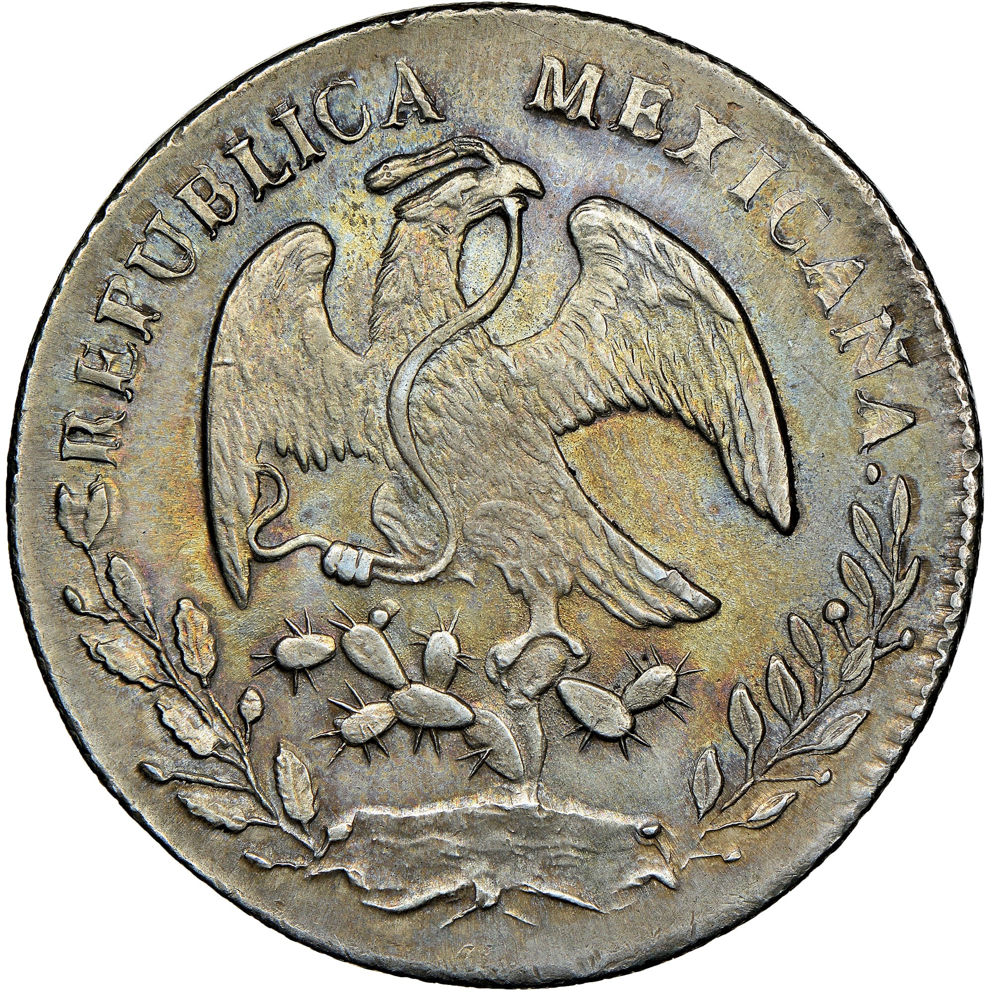希少　コケロミン Mexico FIRST REPUBLIC 8 Reales KM 377.1 Prices & Values | NGC