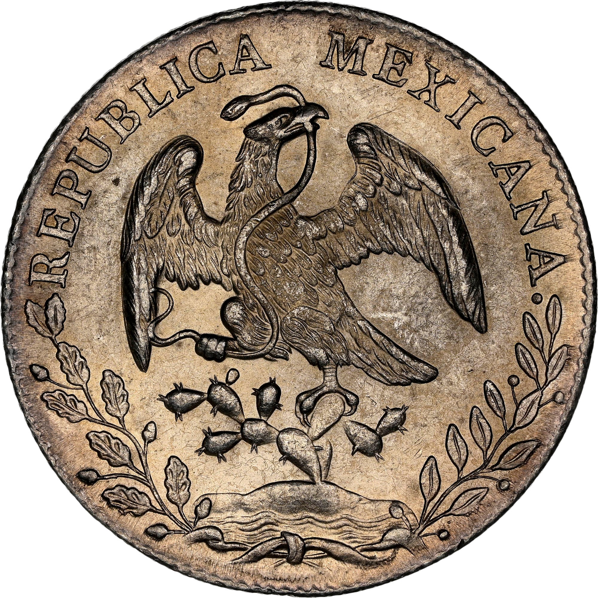 Mexico FIRST REPUBLIC 8 Reales KM 377 Prices & Values | NGC