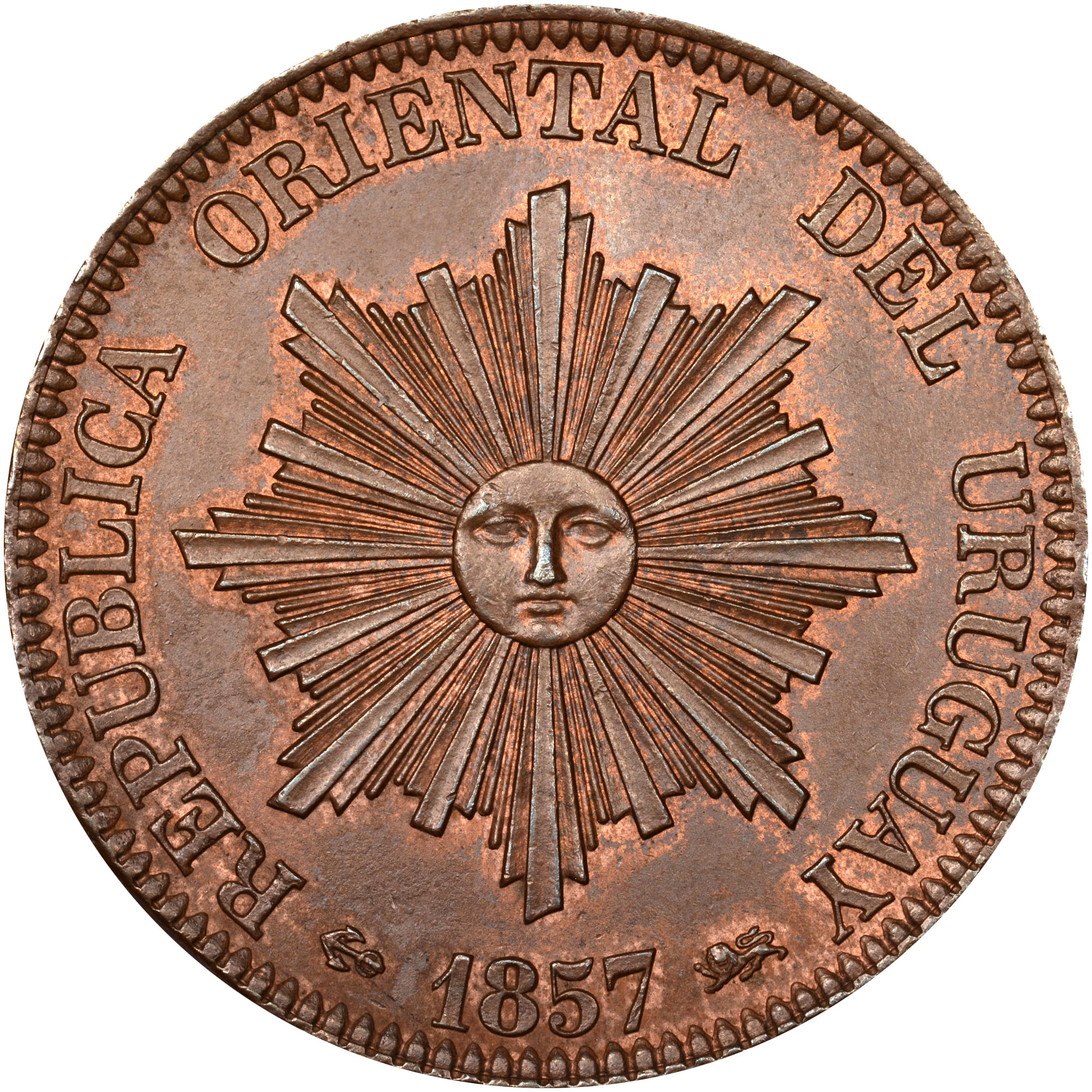 標本 Uruguay Thronistes rouxi 29mm Uruguay 20 Centesimos KM 9 Prices & Values | NGC