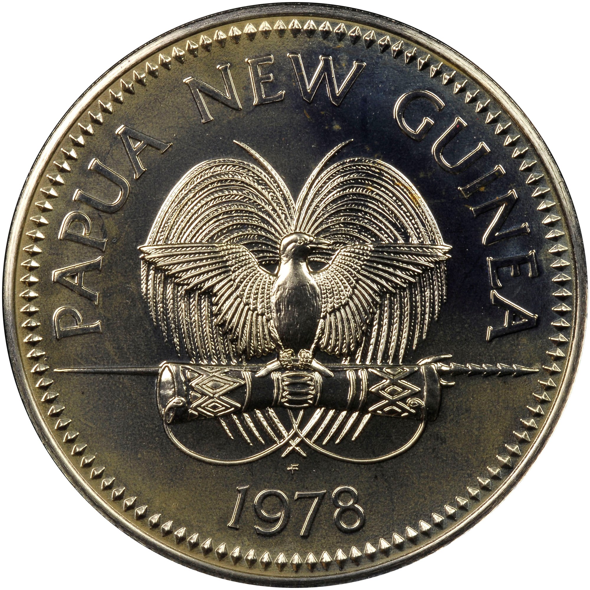 ビカクシダ キナ#10 Kina #10 ビカクシダ キナ#10 Kina #10