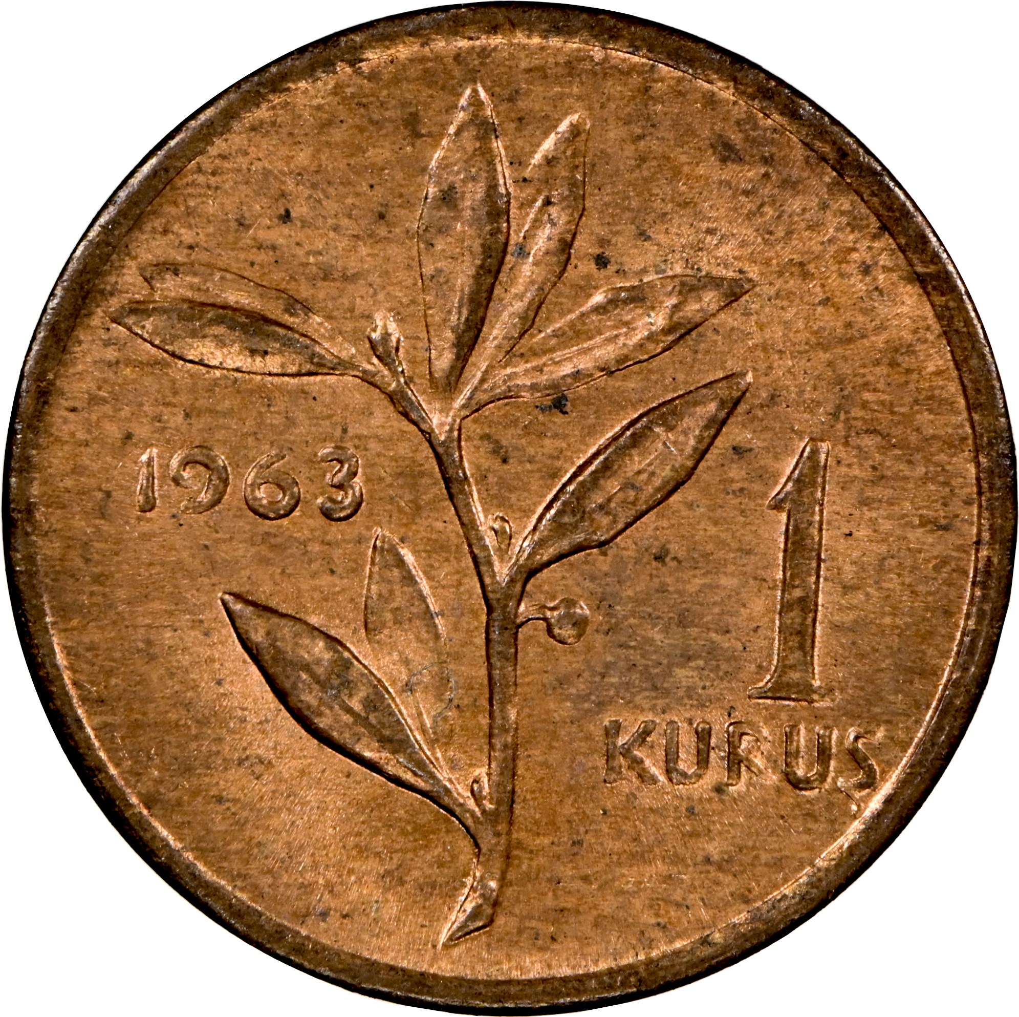 Turkey Kurus KM 895a Prices & Values | NGC