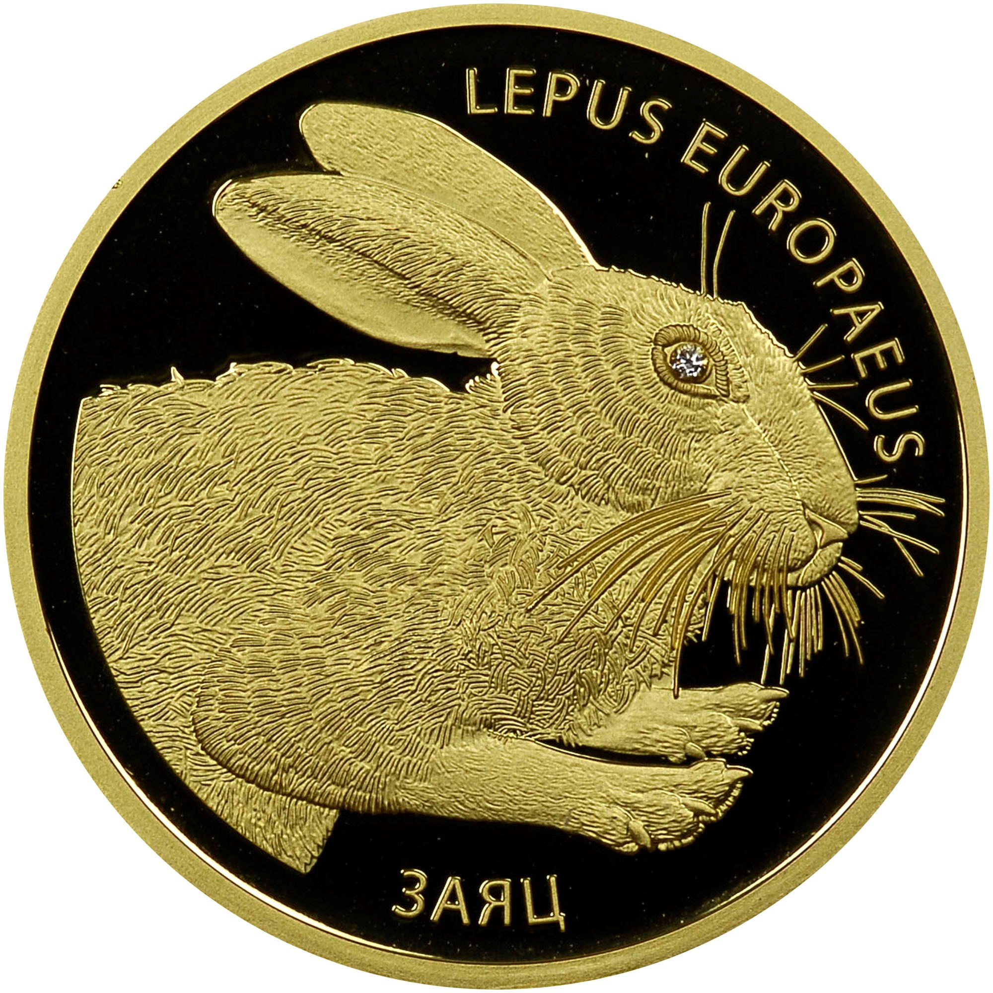 Belarus 50 Roubles KM 468 Prices & Values | NGC