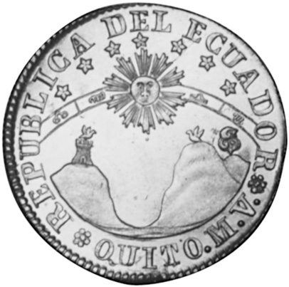 標本 Ecuador Sphaenognathus kolbei 34mm 標本 Ecuador