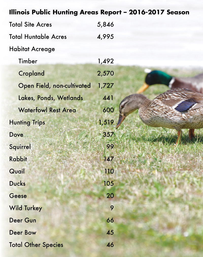 A graph with a photo of a pair of mallard ducks in a grassy field in the background. The graph is describing the Illinois Public Hunting Areas Report 2016–2017 Season.