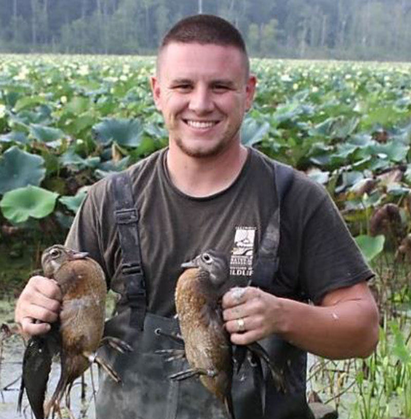 A portrait of a biologist holding two wood duck hens.
