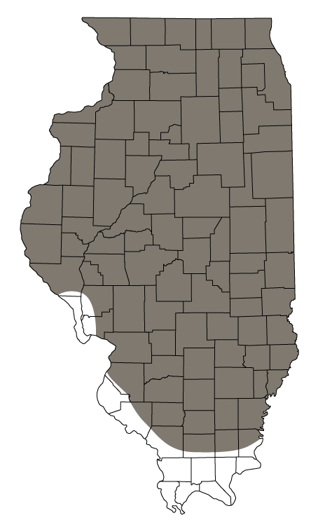 A map of Illinois counties showing the 1900 distribution of Greater Prairie-chickens.