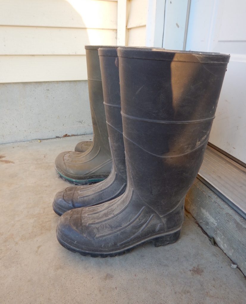 There are two pairs of brown rubber boots in a row. They are lined up against a doorway with a white exterior door in the background.