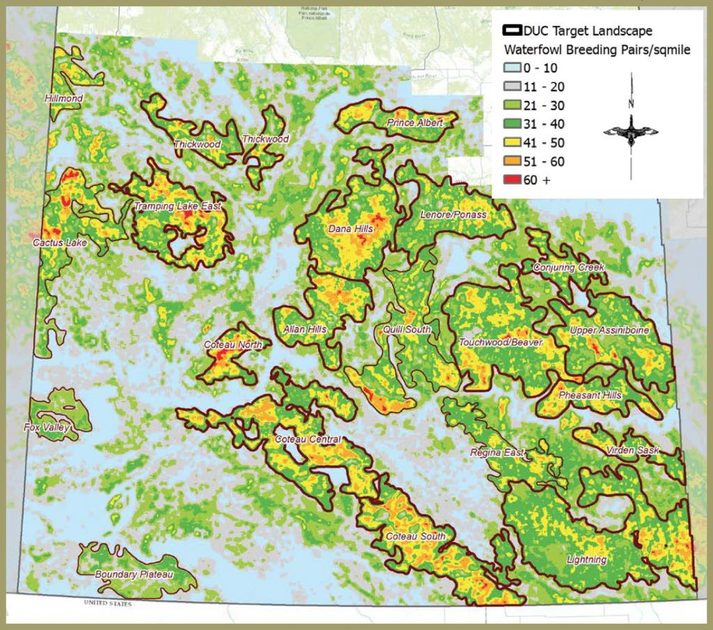 A map of Saskatchewan, Canada indicating target landscape that is the most beneficial to waterfowl.