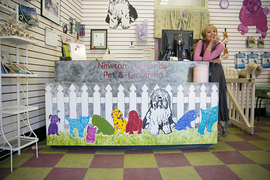 Newton Highlands Pet & Grooming Boutique