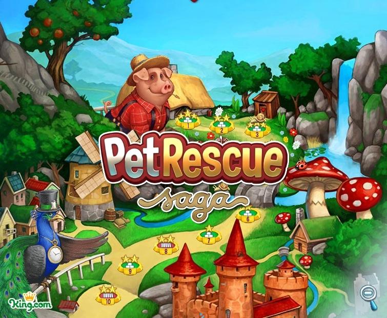 Pet Rescue Free Casual Games!