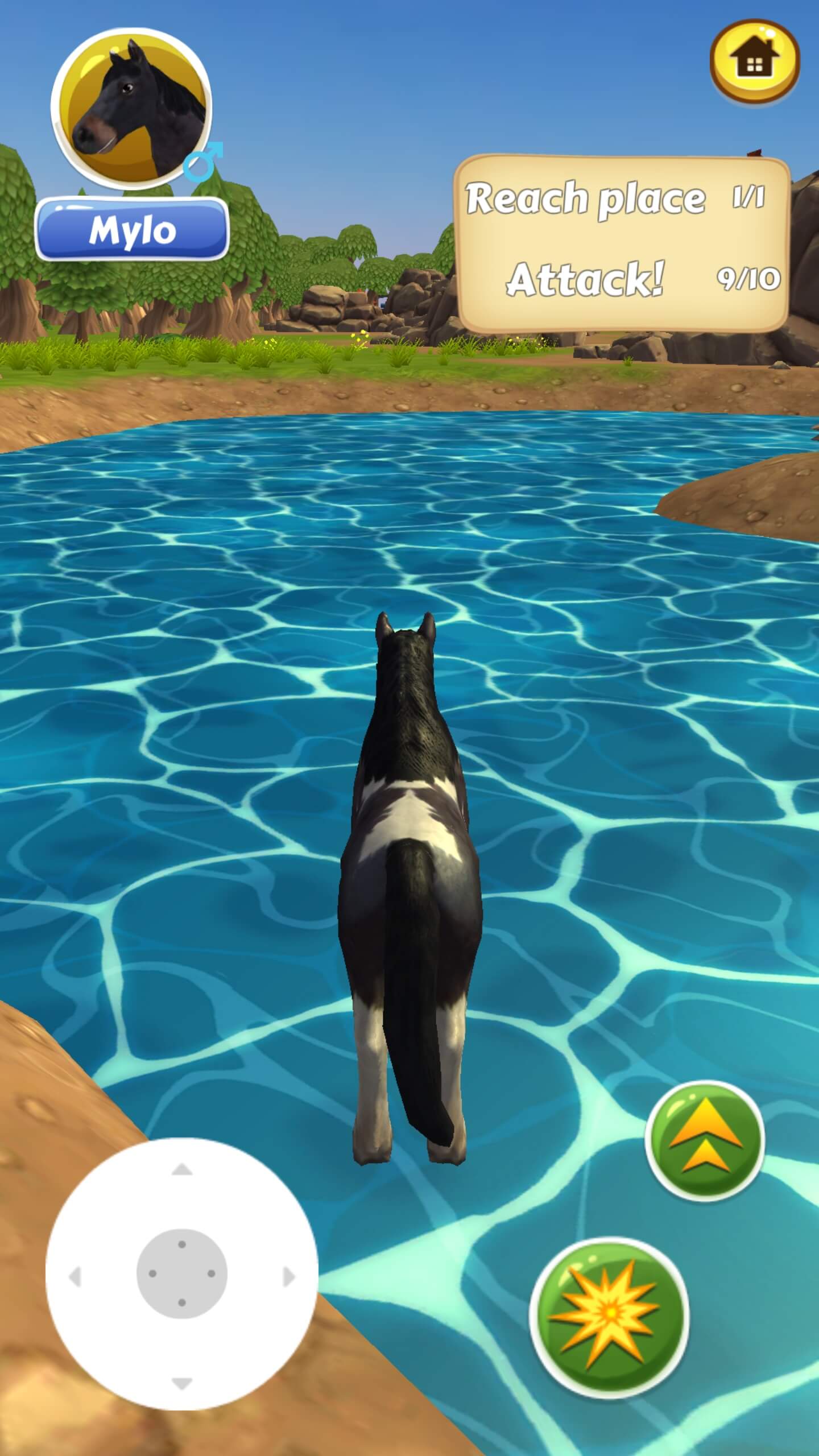 My Horse Care Horse Games Online