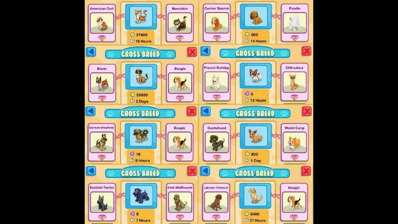 Pet Shop Story Virtual World Games 3D