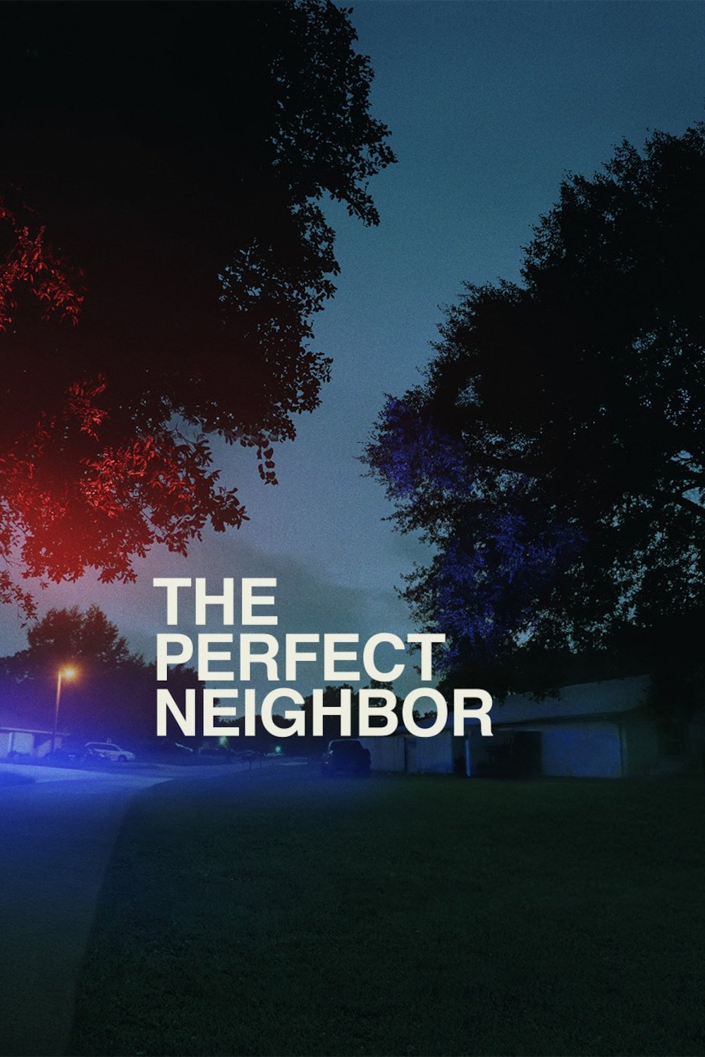 Poster for The Perfect Neighbor (2025)