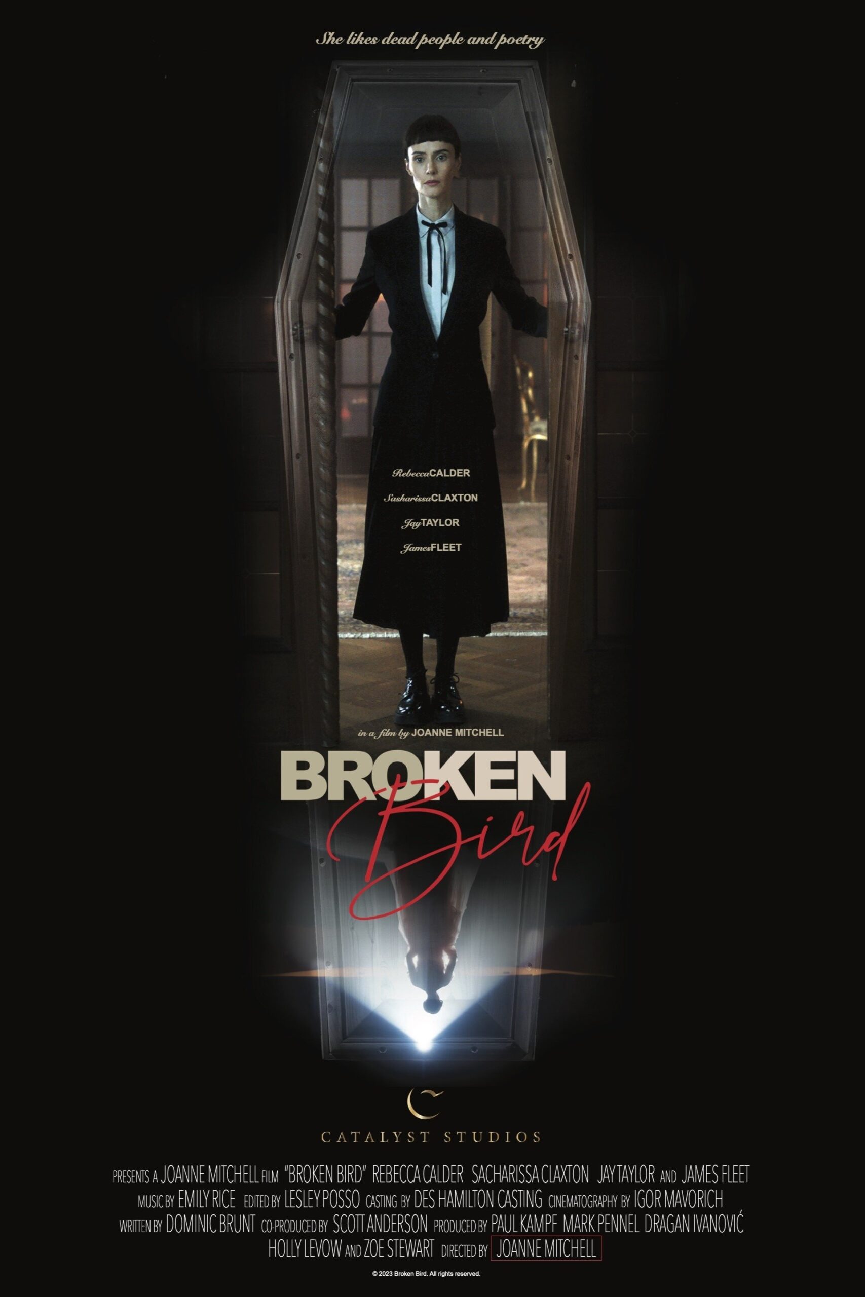 Poster for Broken Bird (2026)