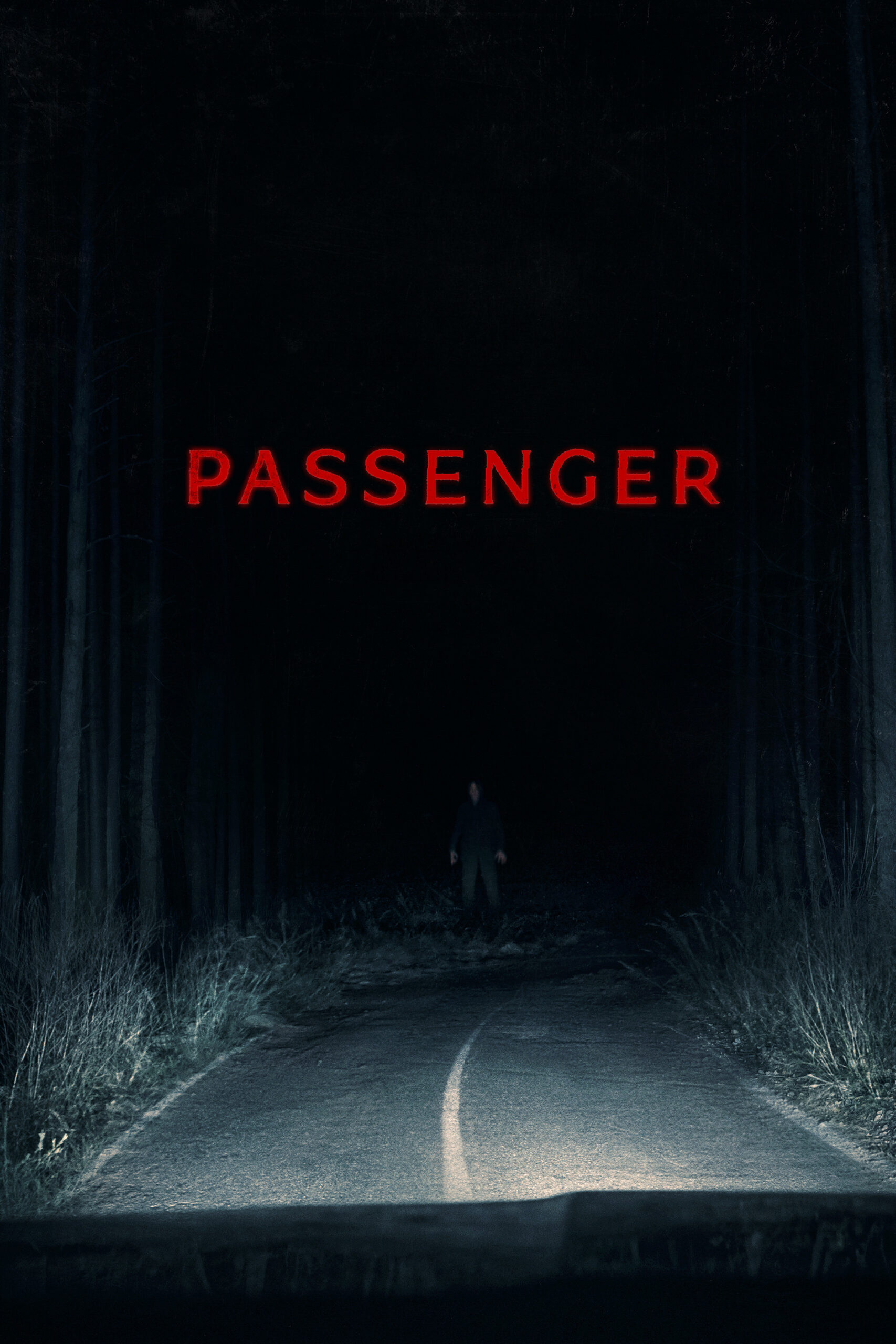 Poster for Passenger (2026)