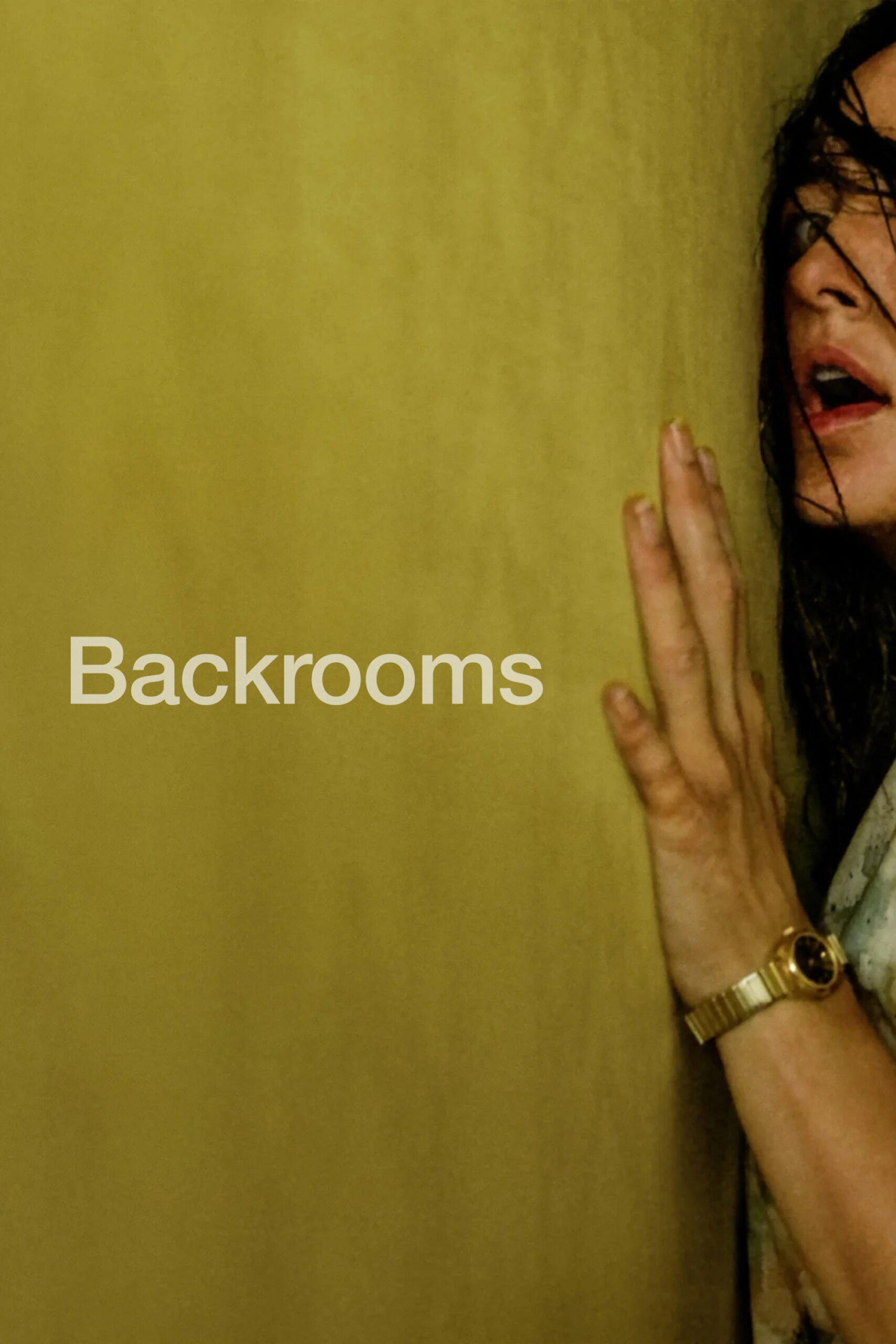 Poster for Backrooms (2026): Everything Must Go Edition w/Bonus Footage