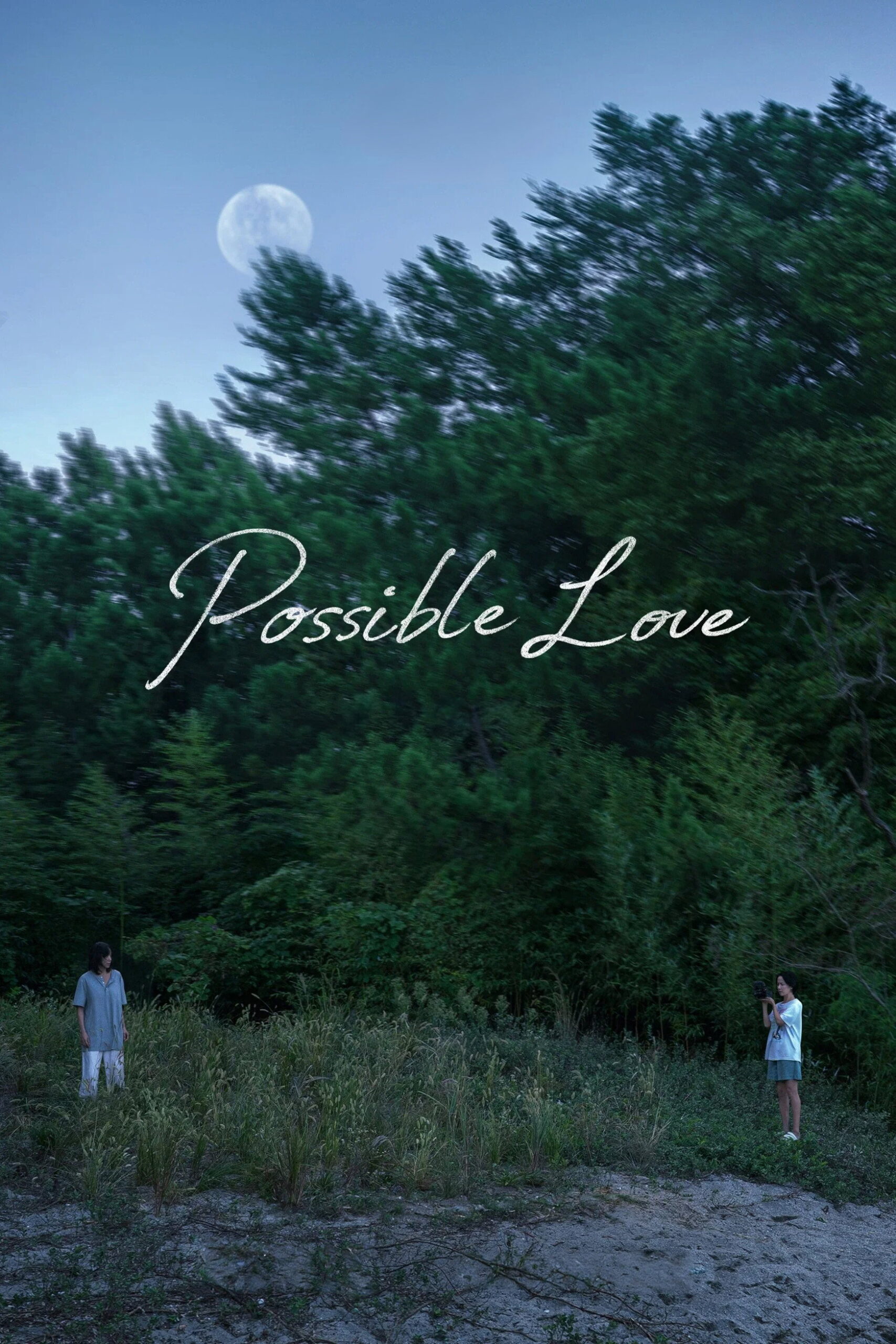 Poster for Possible Love (2026)
