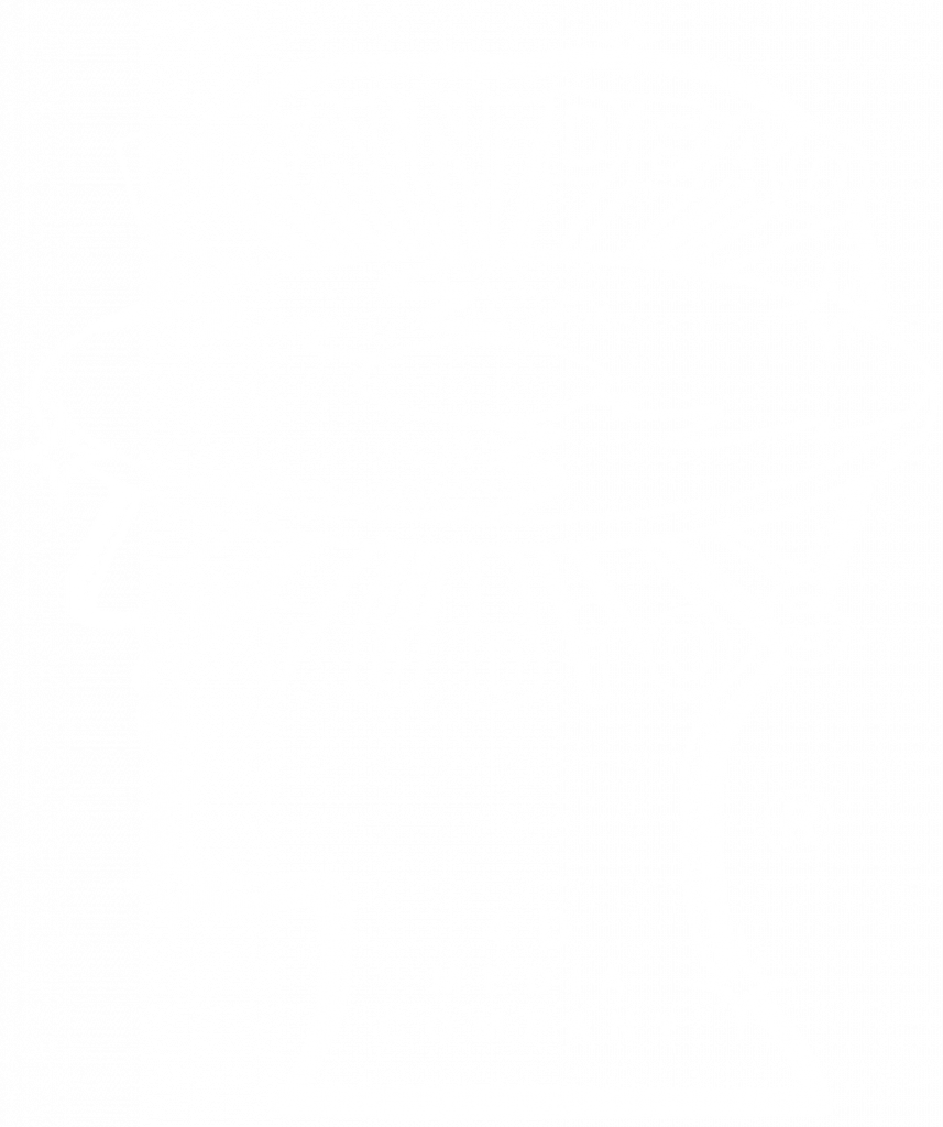 The Craft Brain Dead Studios