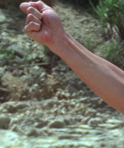 Poster for Friday Film Matinee: A Super-Secret, Super-Classic Kung-Fu Film!