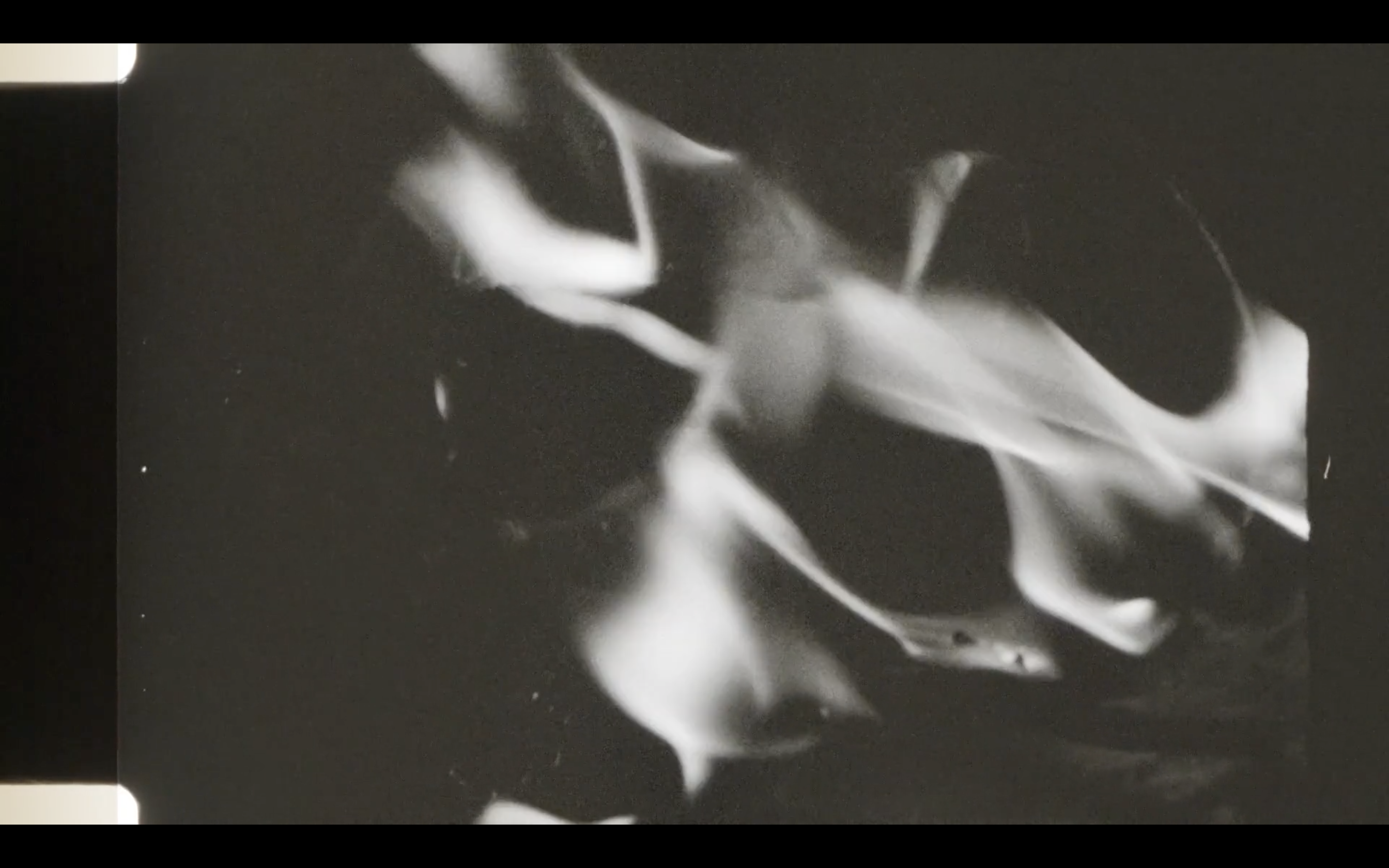 Still from Tan/Vatan - Body/Homeland by Homa Sarabi & Meenakshi Garodia