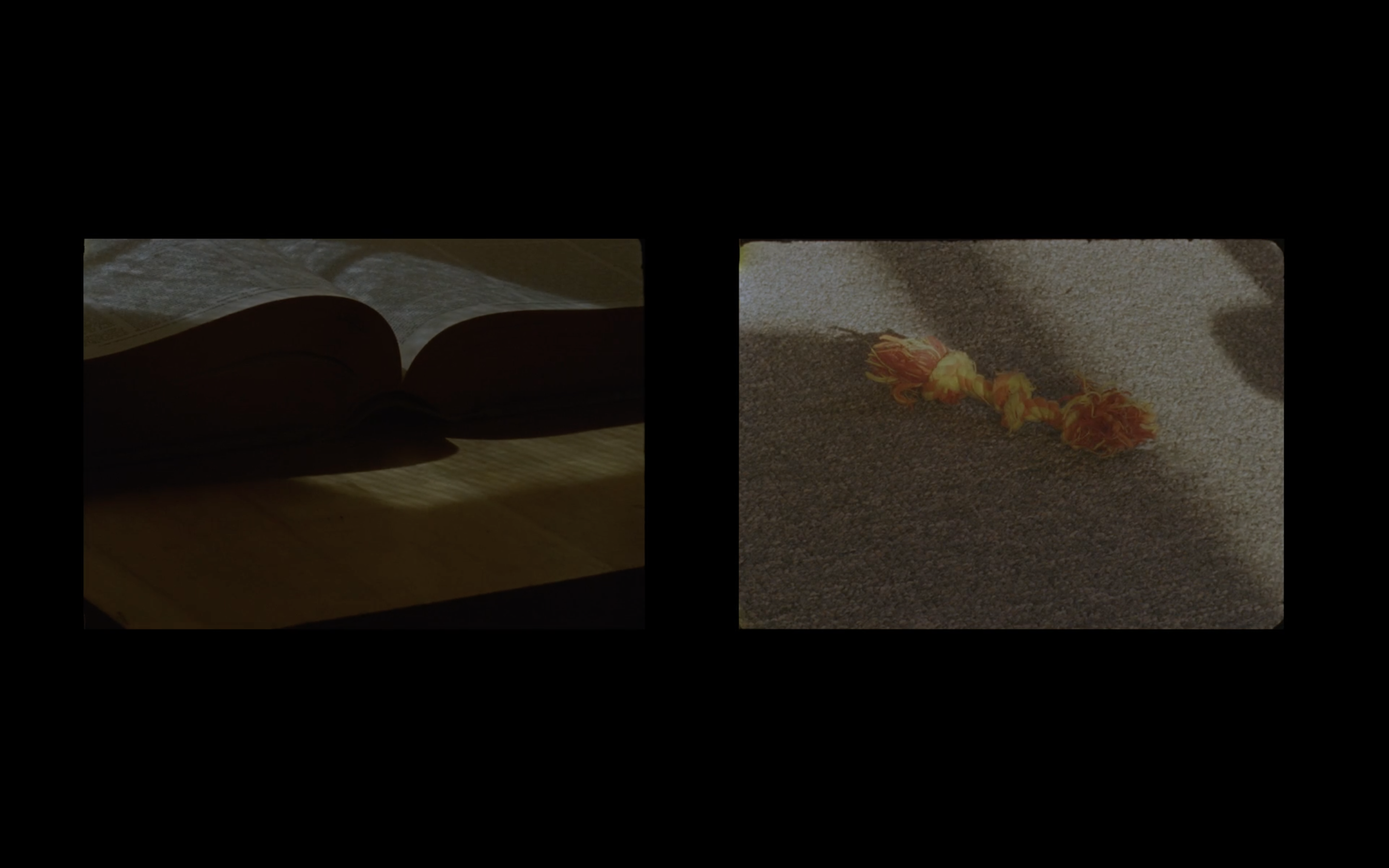 Still from Monosabishii by Wenhua Shi