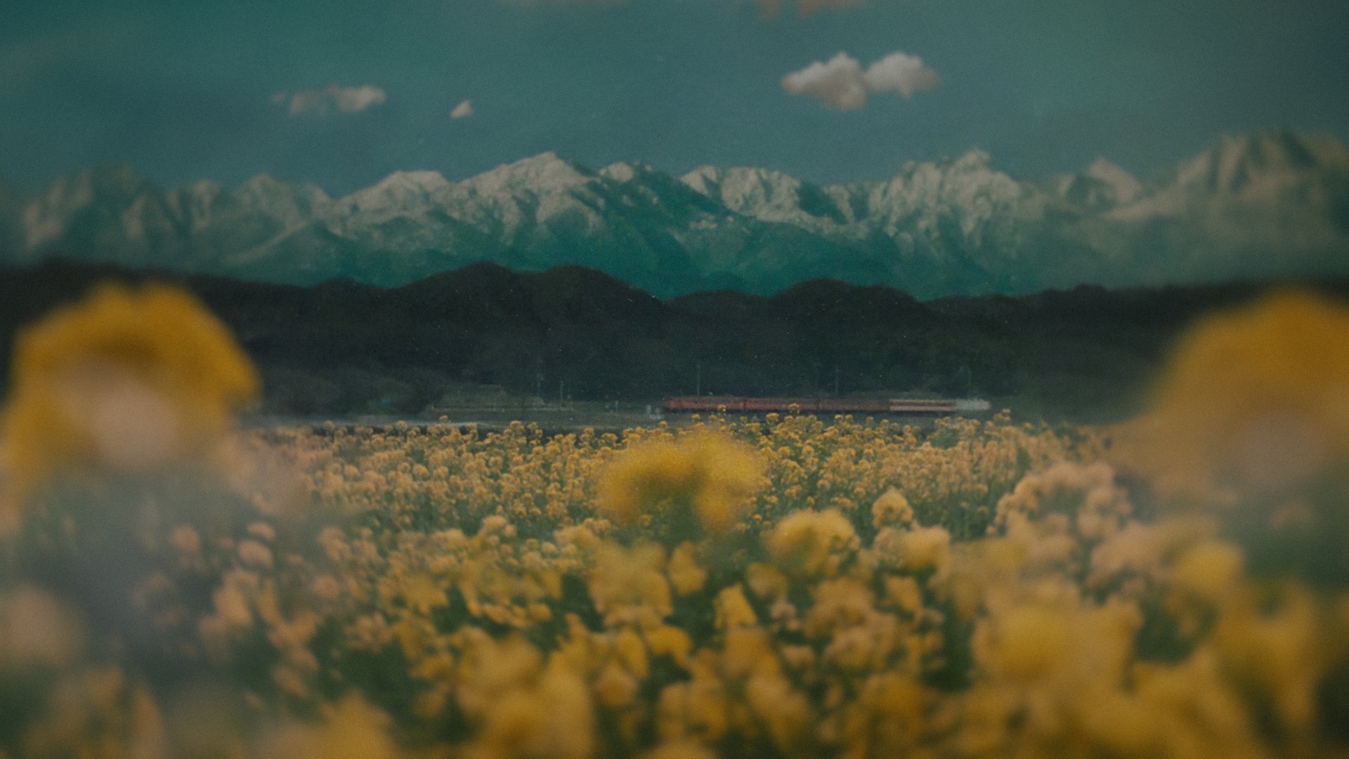 still from 'The Girl Who Leapt Through Time'