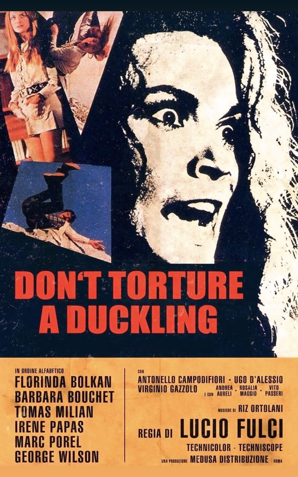 Poster for Don’t Torture a Duckling