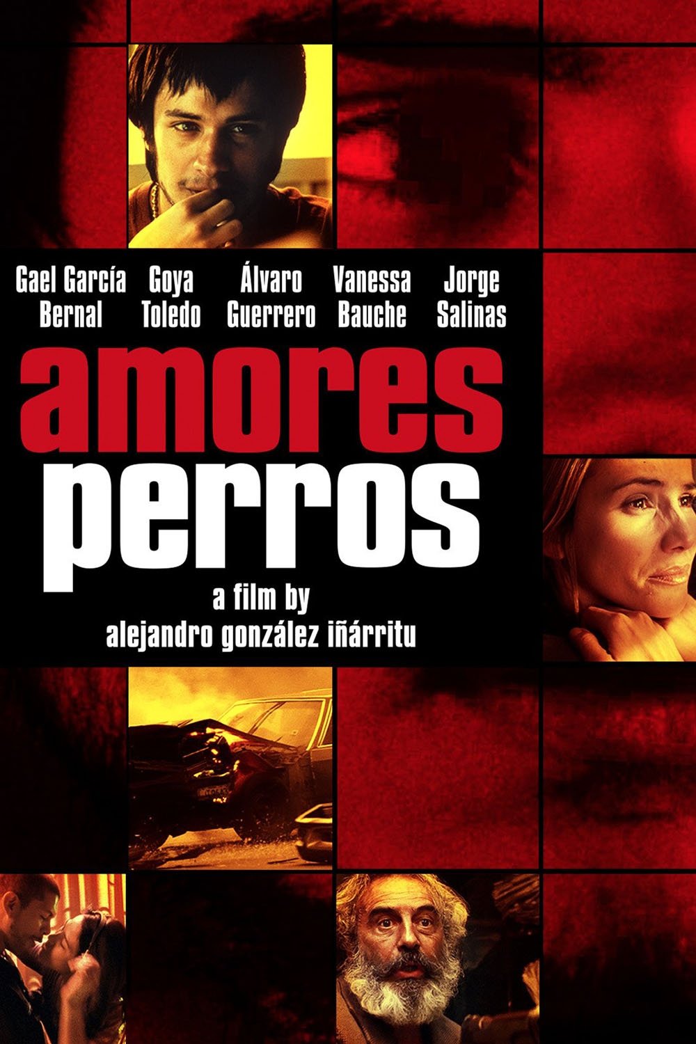 Poster for Amores Perros