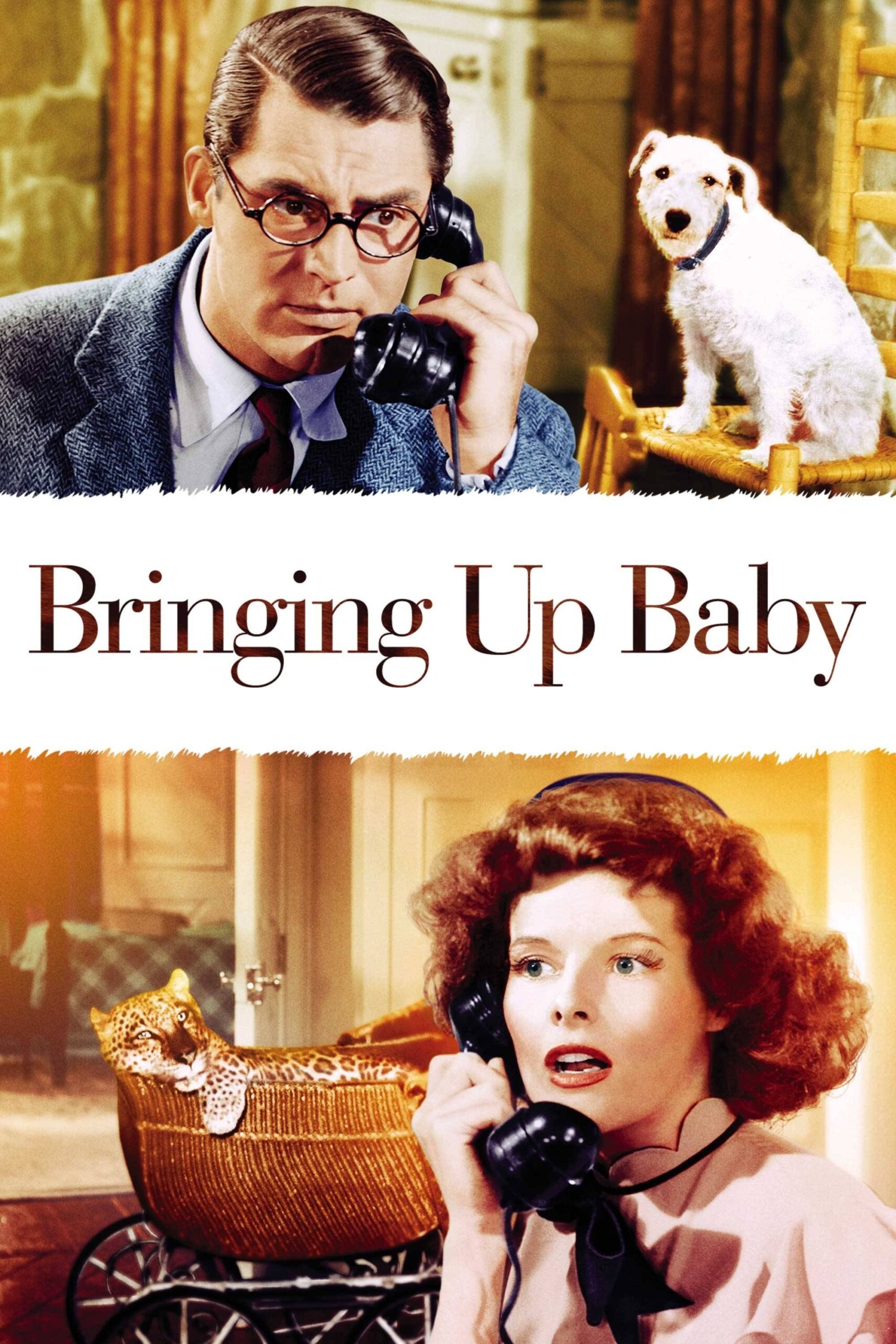 Poster for Bringing Up Baby*