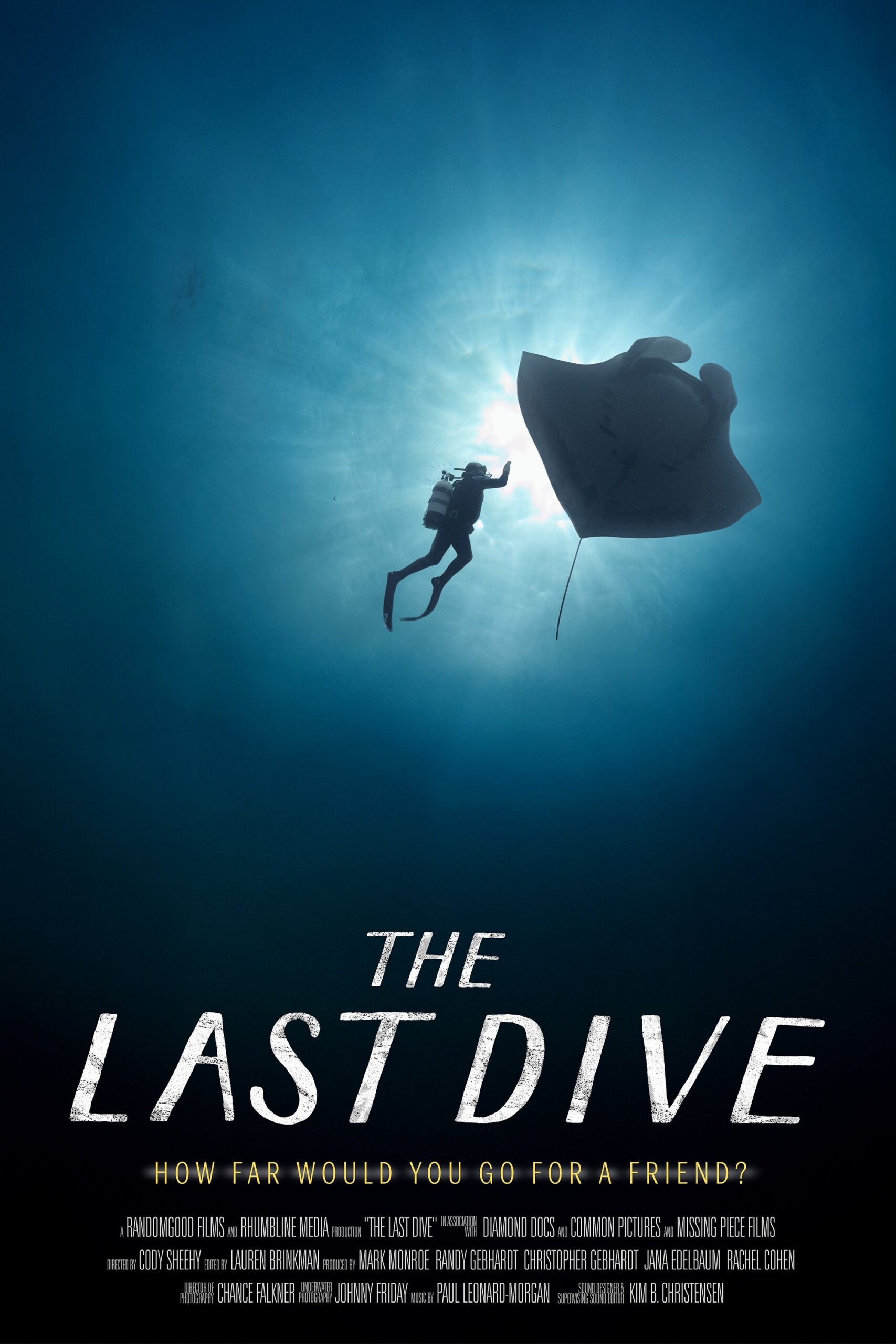 Poster for AIFF ~ The Last Dive