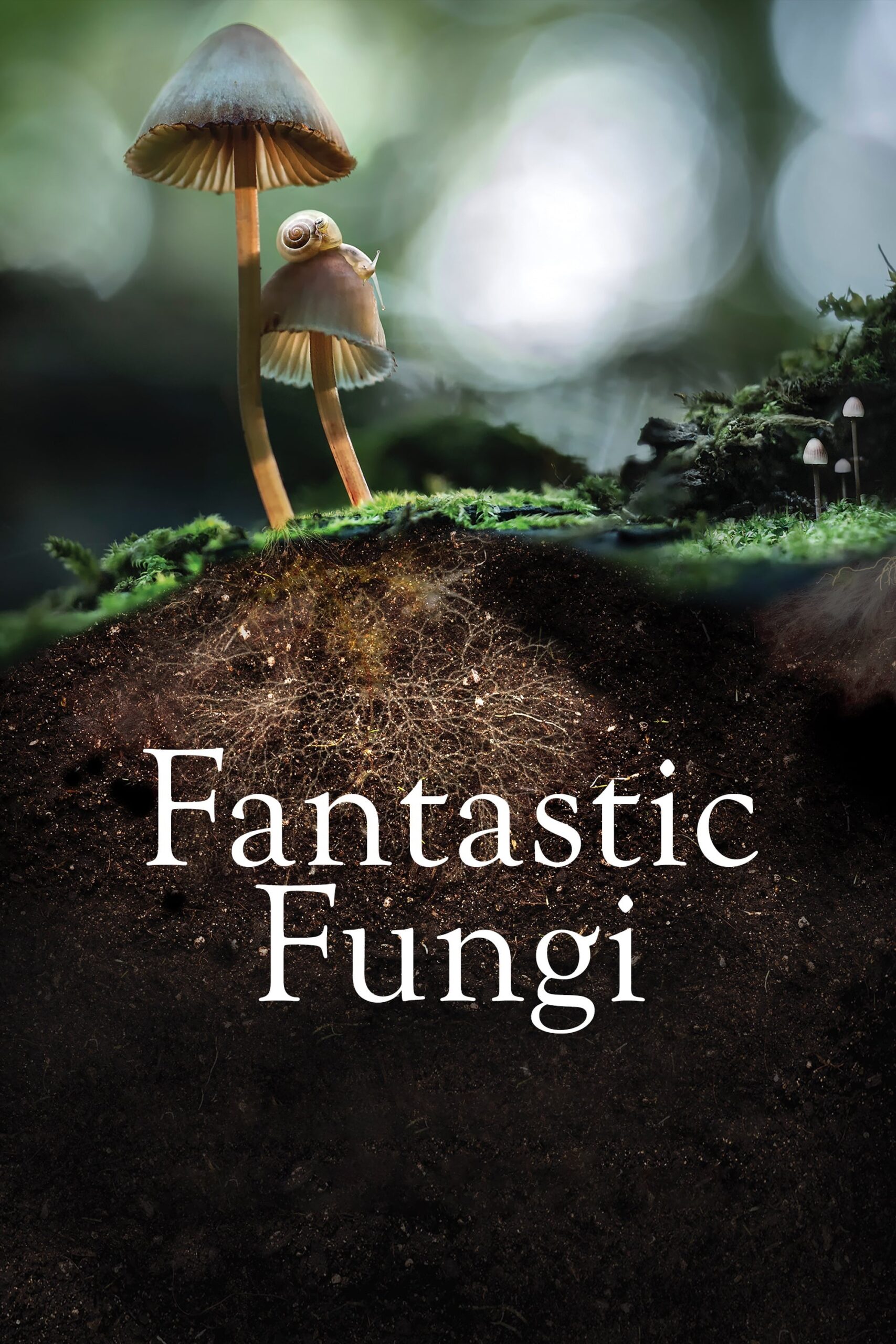 Poster for Fantastic Fungi: 30th Anniversary Special