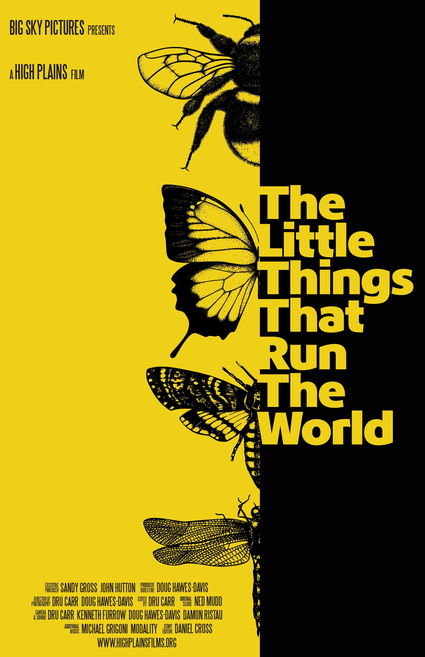 Poster for Community Impact – THE LITTLE THINGS THAT RUN THE WORLD