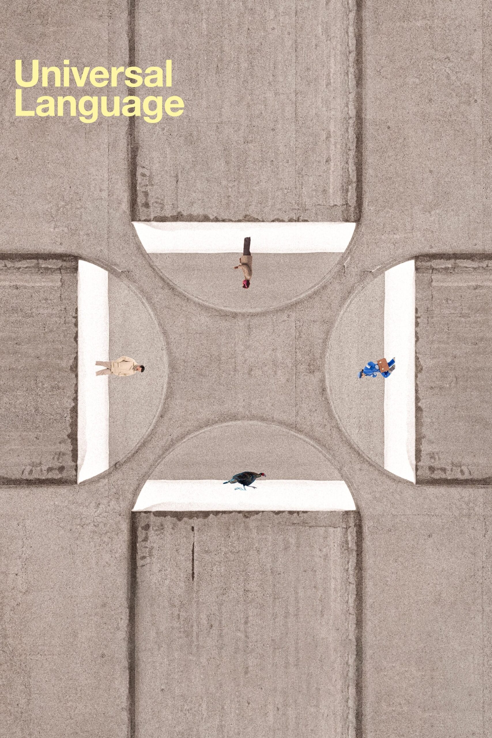 Poster for Universal Language