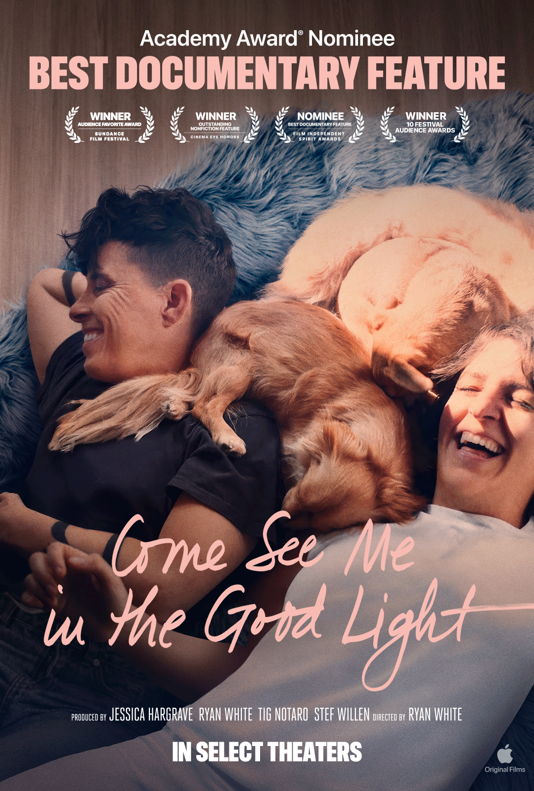 Poster for Come See Me in the Good Light