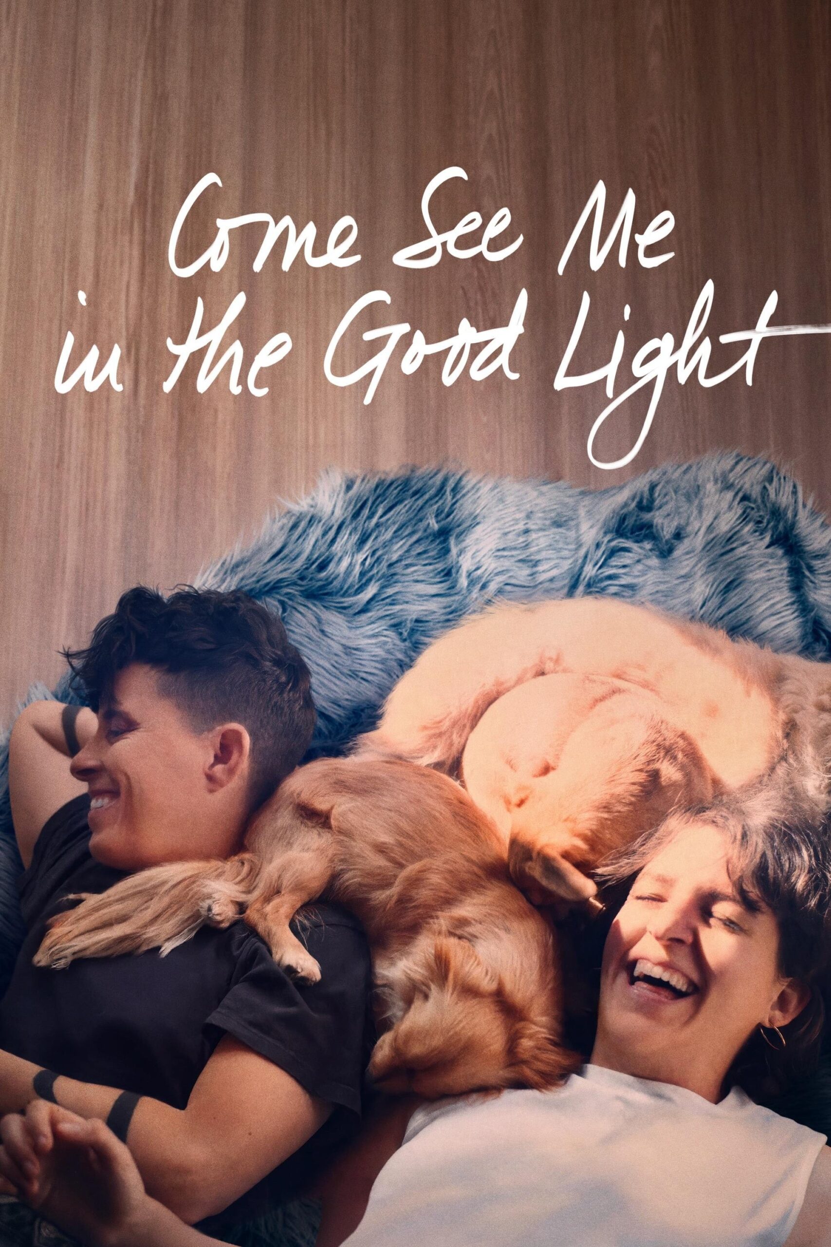 Poster for Come See Me in the Good Light