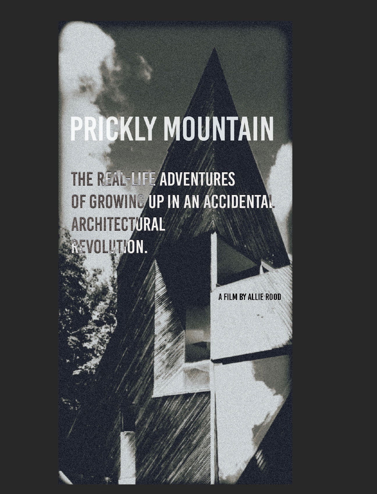 Poster for Prickly Mountain and My Design/Build Life