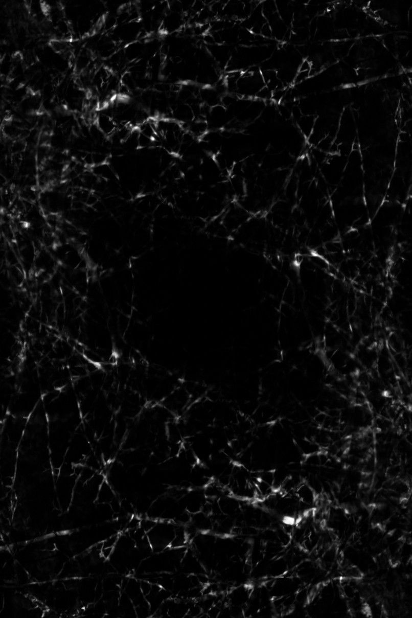 Poster for Mantle of Dusk (On Loop)