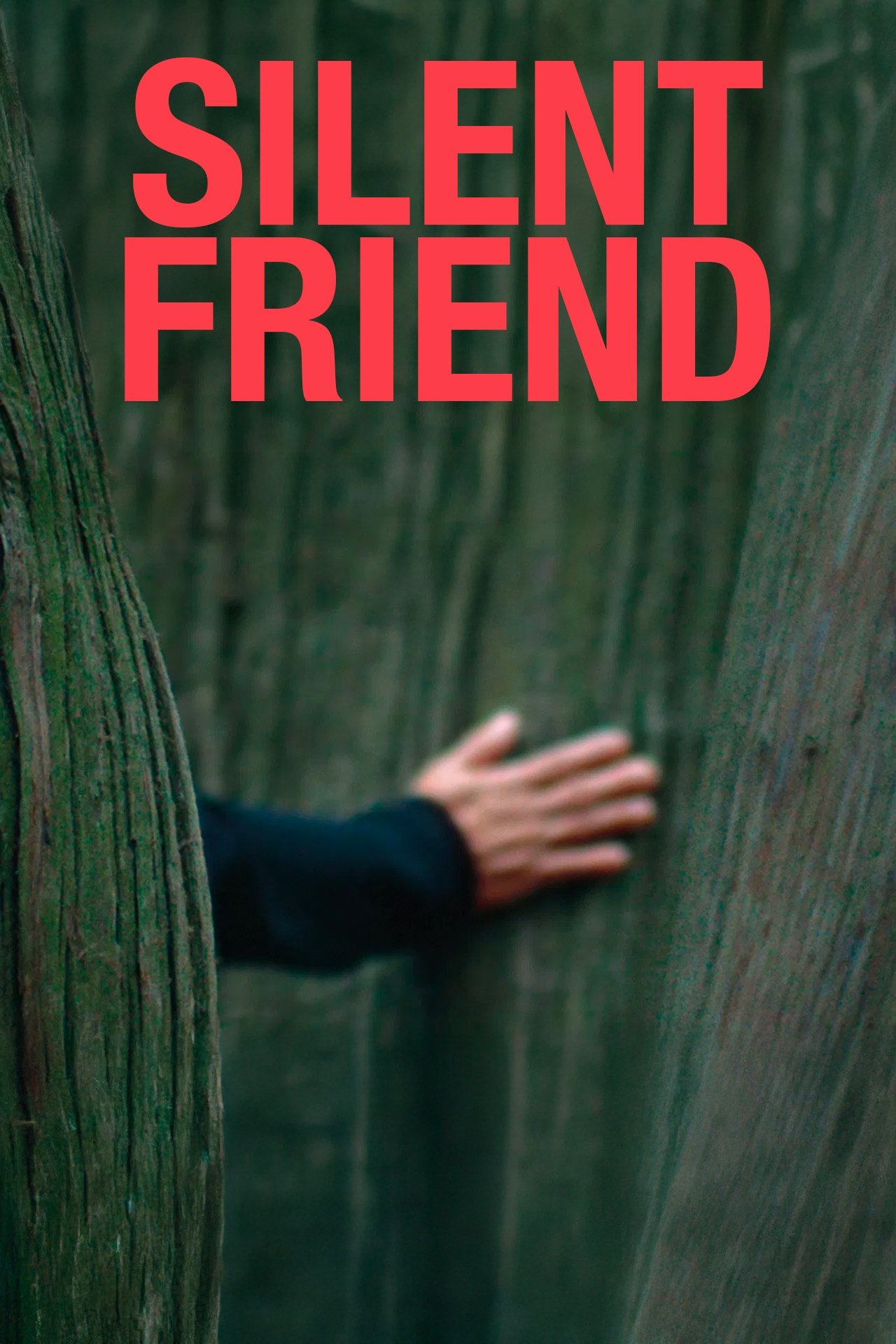 Poster for Silent Friend