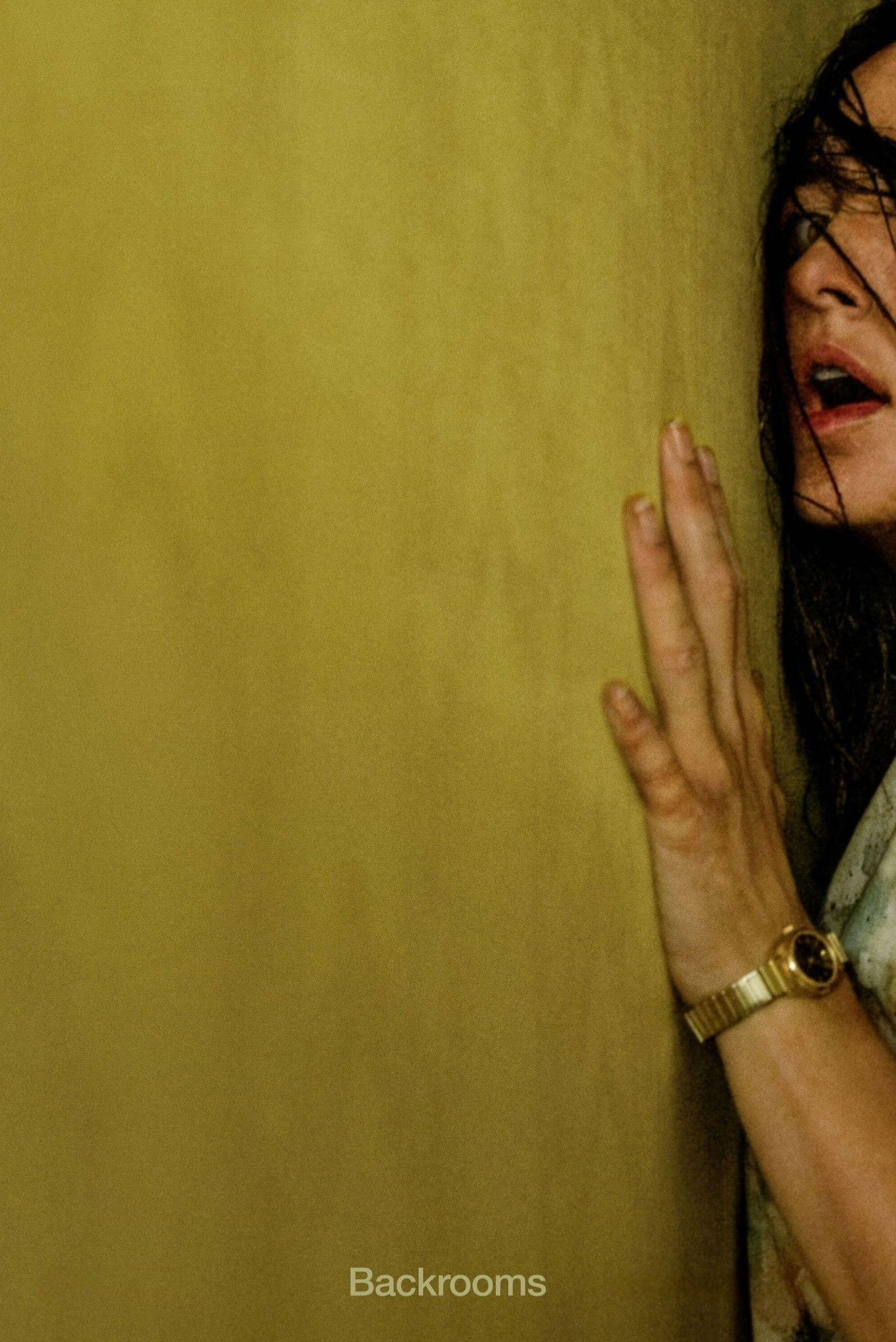 Poster for Backrooms