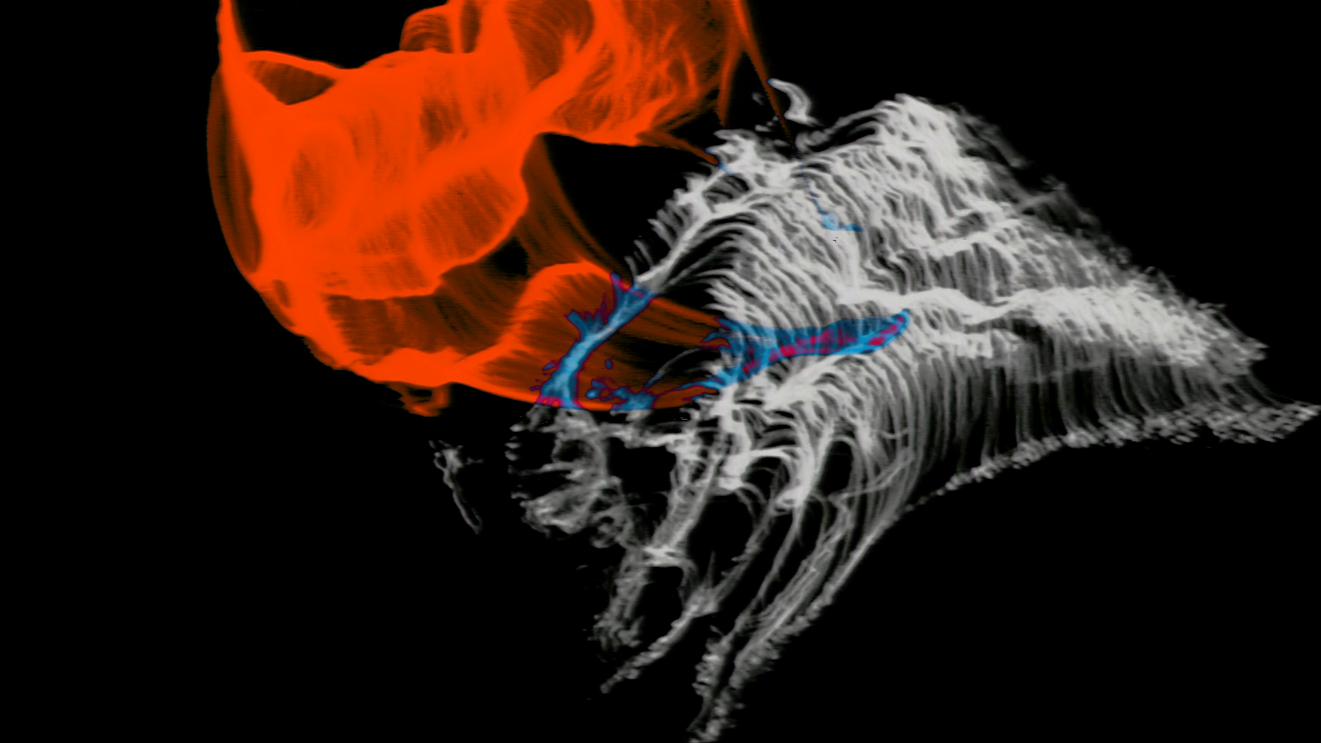 [ PAST EVENT ] Local Animation Showcase + The SelfieBot – Tomorrow Theater