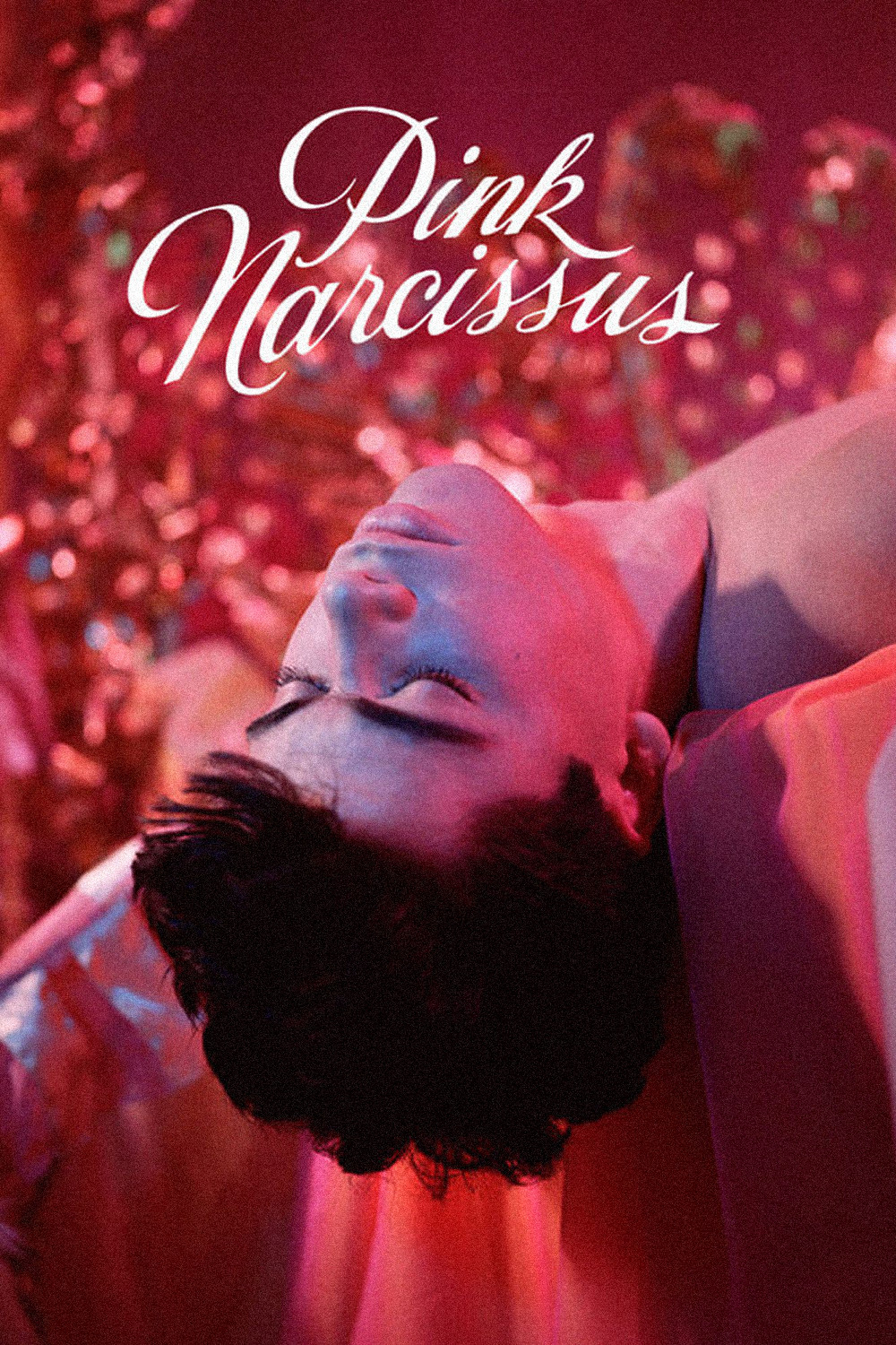 Poster for Pink Narcissus w/ Live Score by kraftwitch